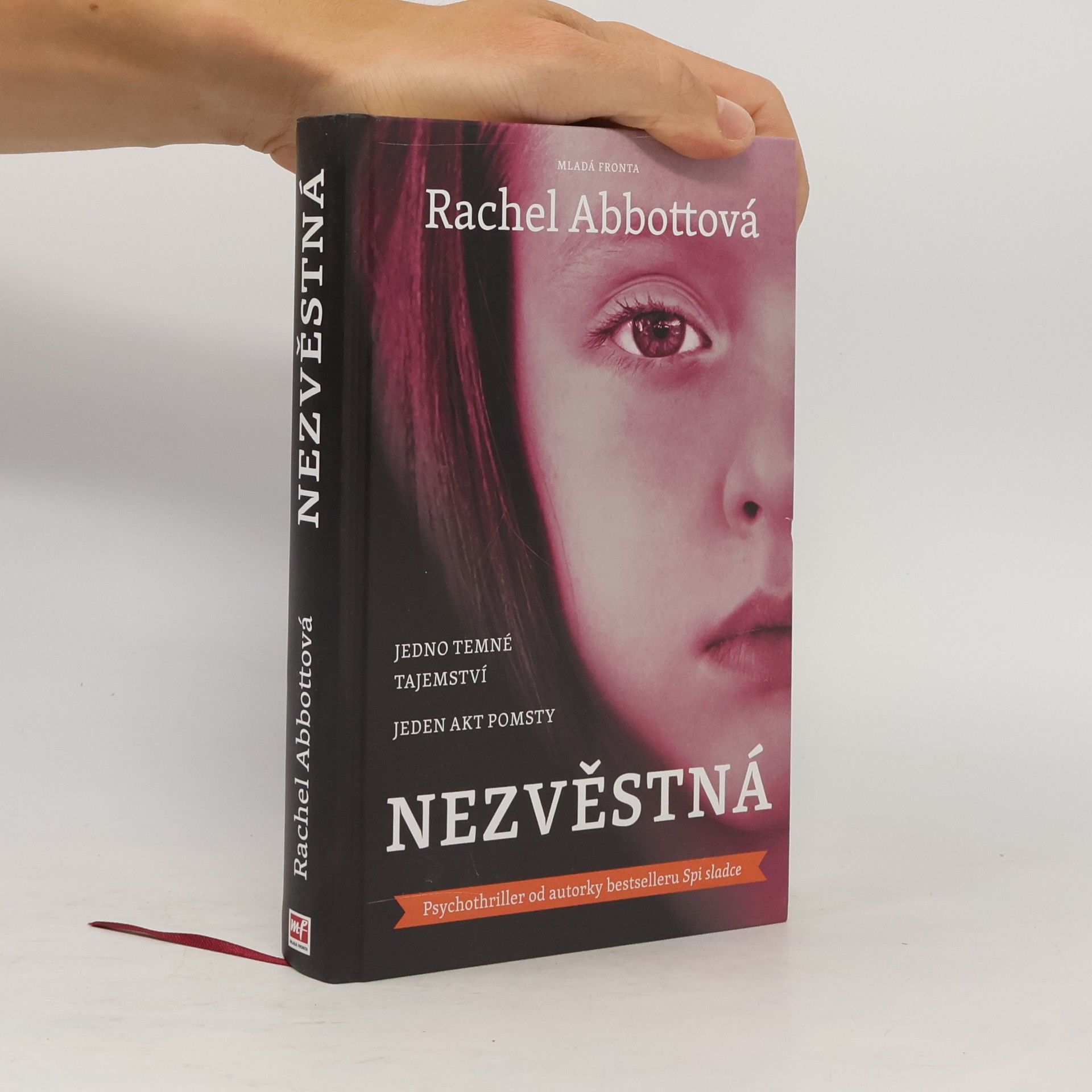 Rachel Abbott Nezvěstná
