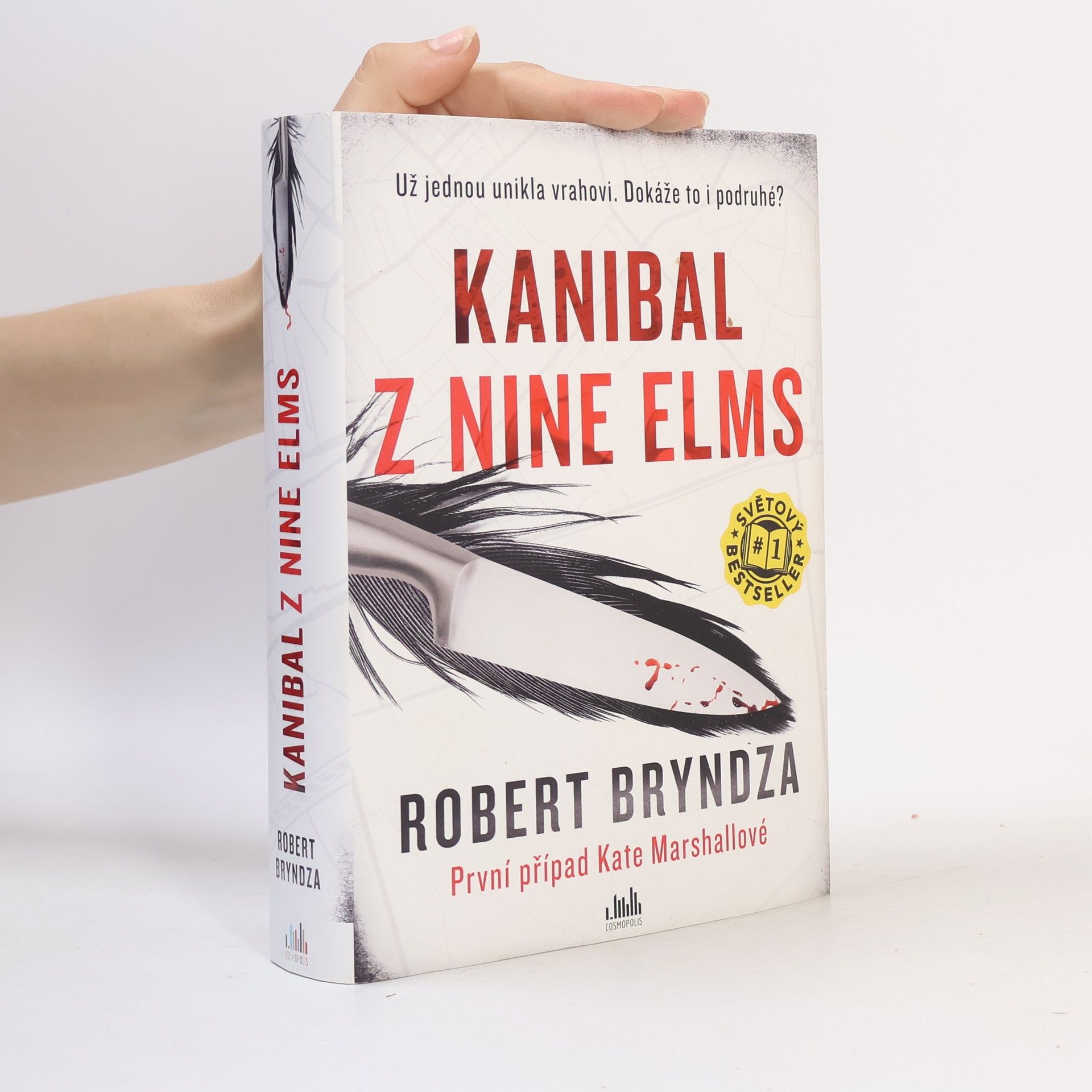 Robert Bryndza Kanibal z Nine Elms