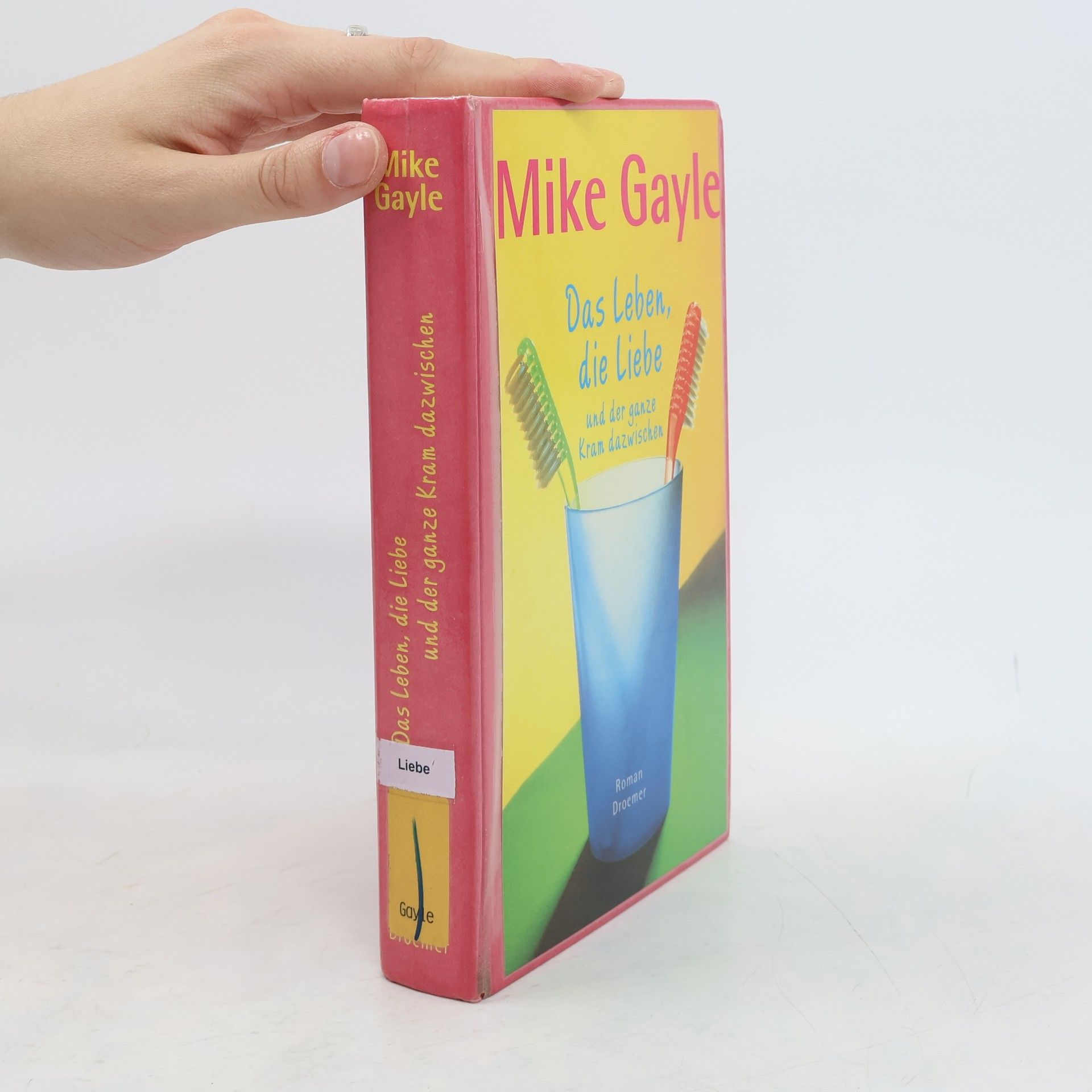 Mike Gayle Das Leben, die Liebe und der ganze Kram dazwischen