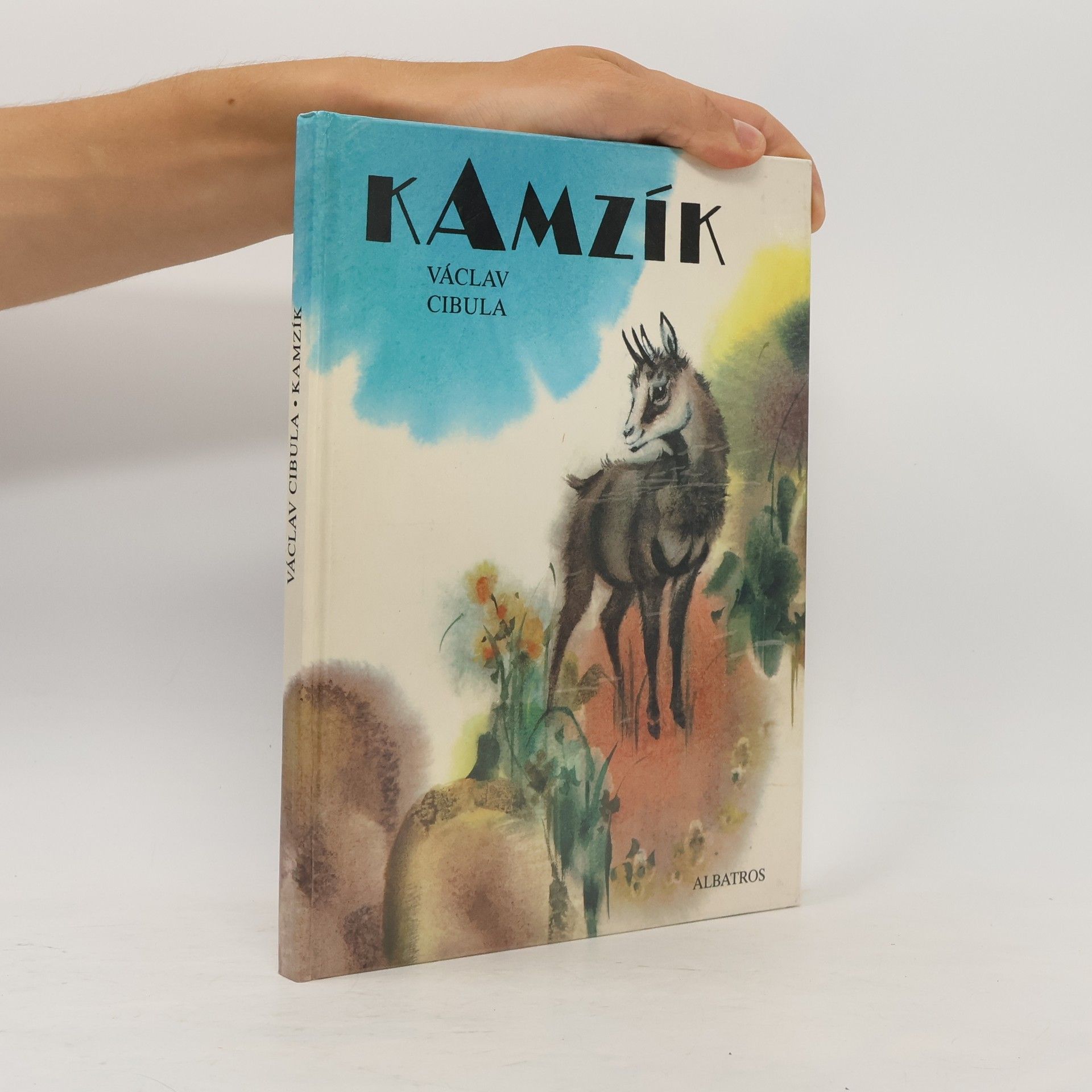 Kamzík