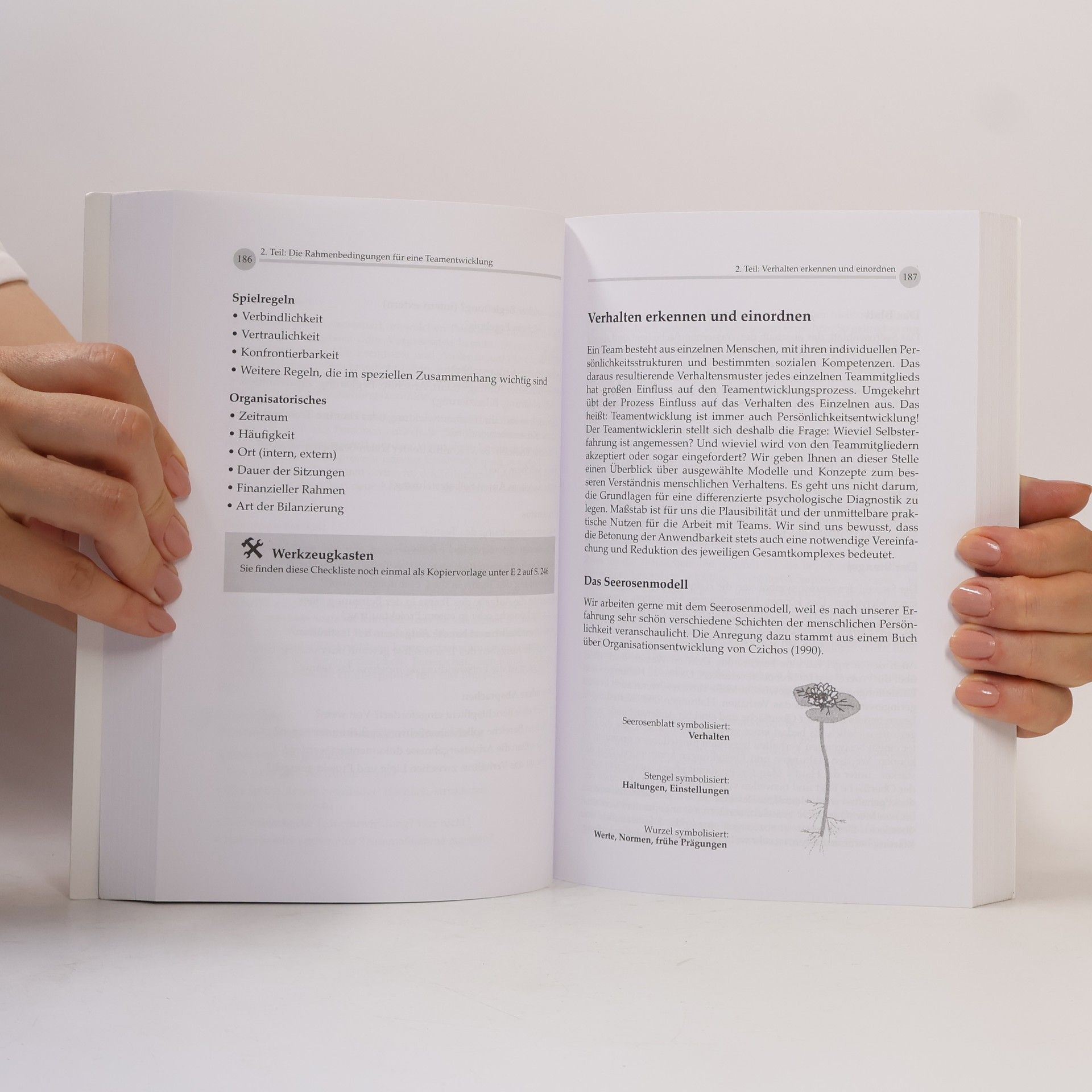 Claus Nowak Teamarbeit, Teamentwicklung, Teamberatung. Ein Praxisbuch