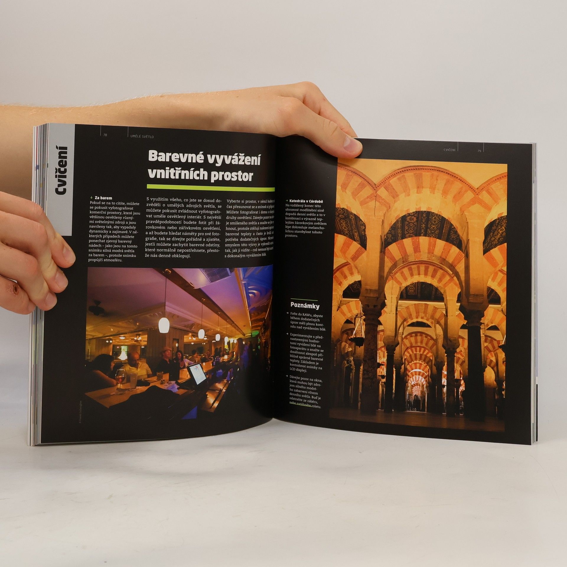 Michael Freeman Světlo a svícení - Fotografie v praxi