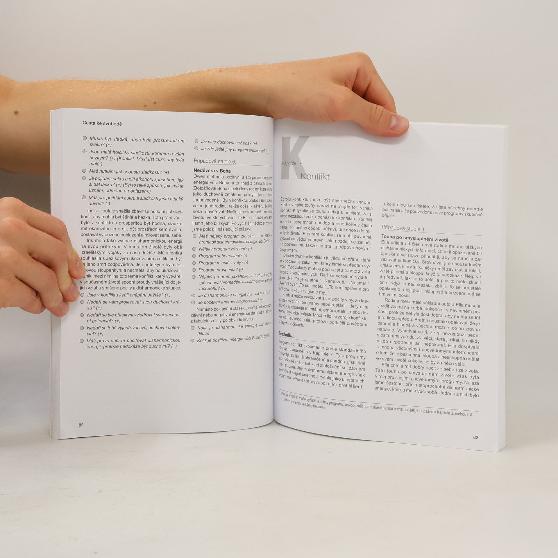 Robert E. Detzler Cesta ke svobodě : vyčištění záznamů vaší duše