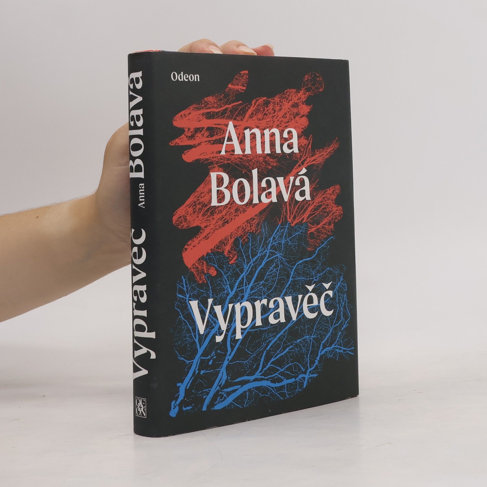 Anna Bolavá Vypravěč