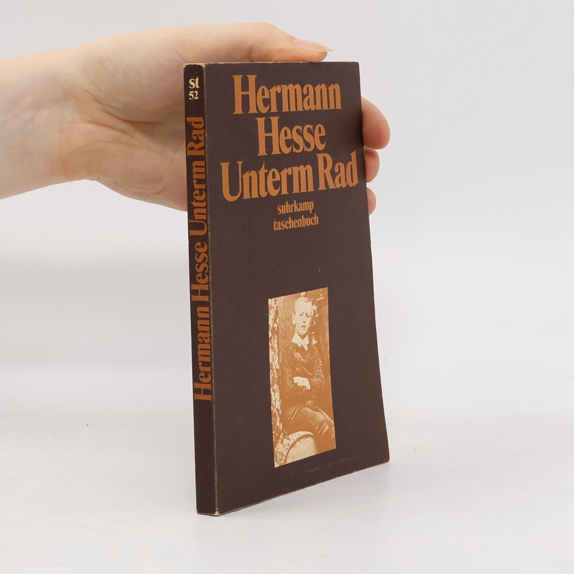 Hermann Hesse Unterm Rad
