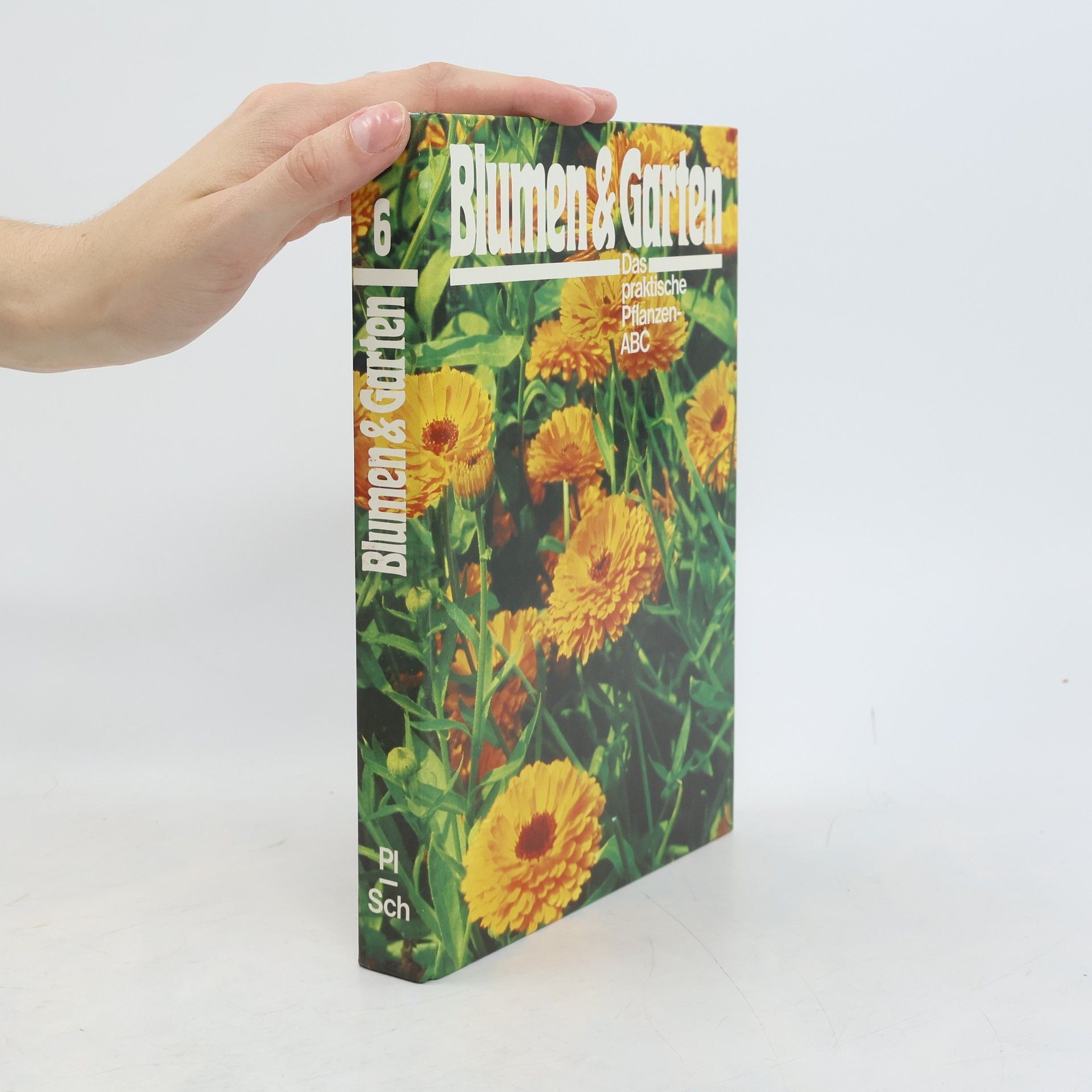 Autores varios Blumen & Garten 6