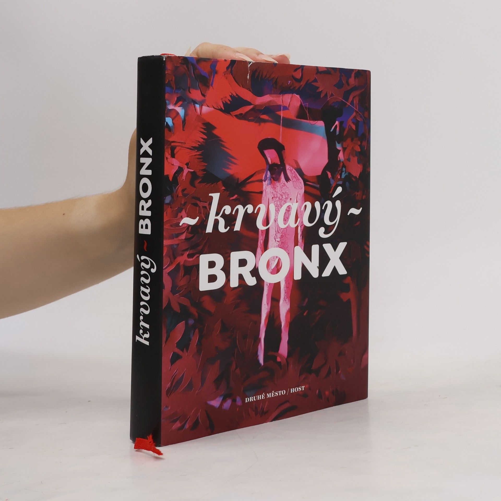 Autorenkollektiv Krvavý Bronx