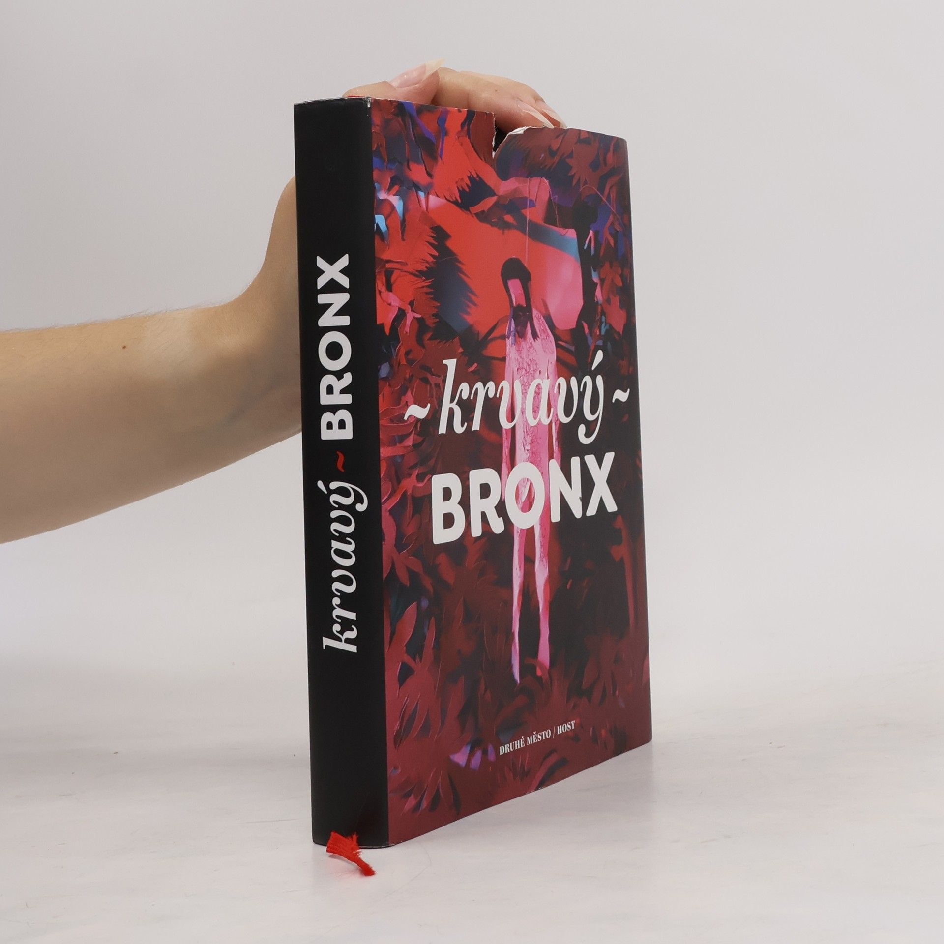 Autorenkollektiv Krvavý Bronx