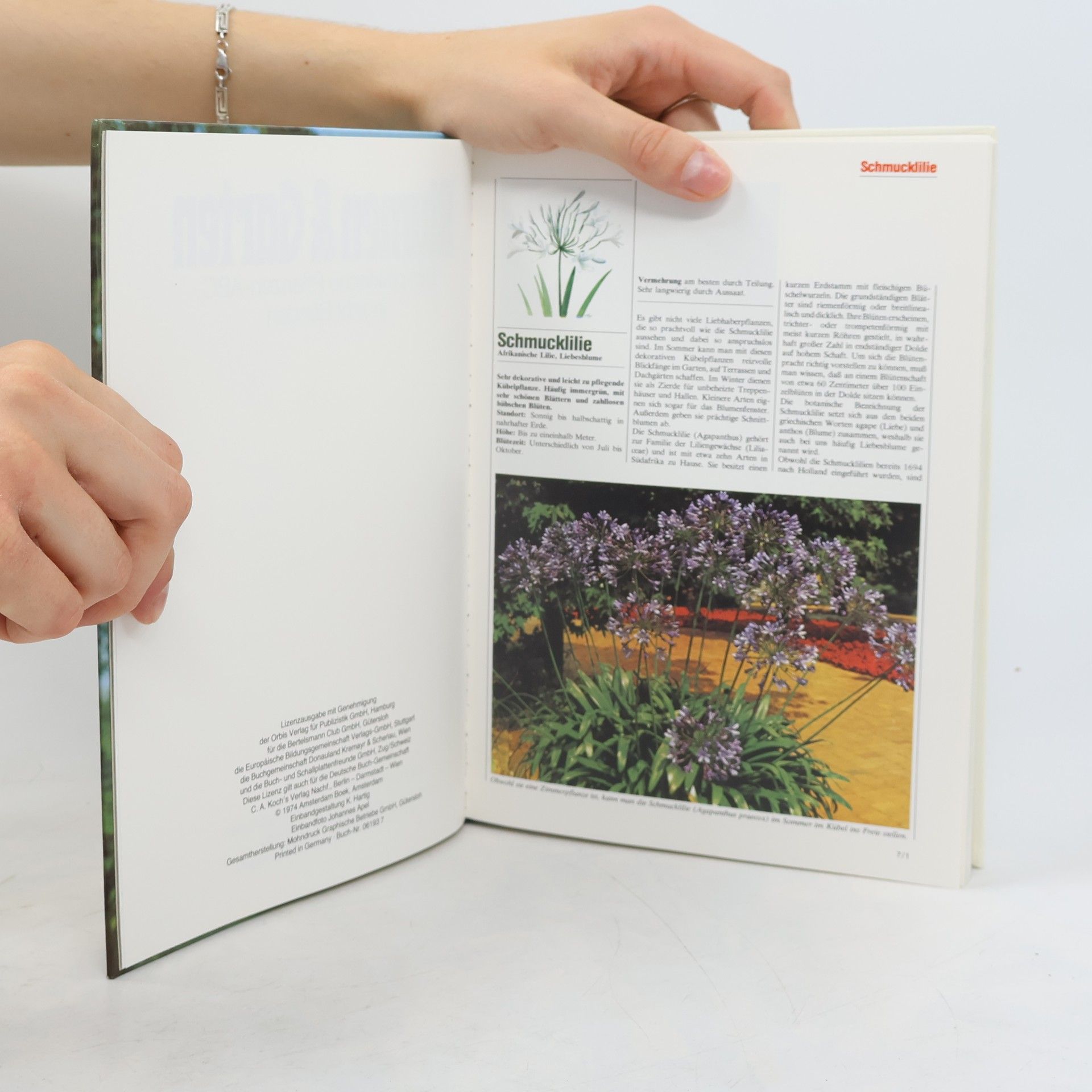 Kolektiv autorů Blumen & Garten 7