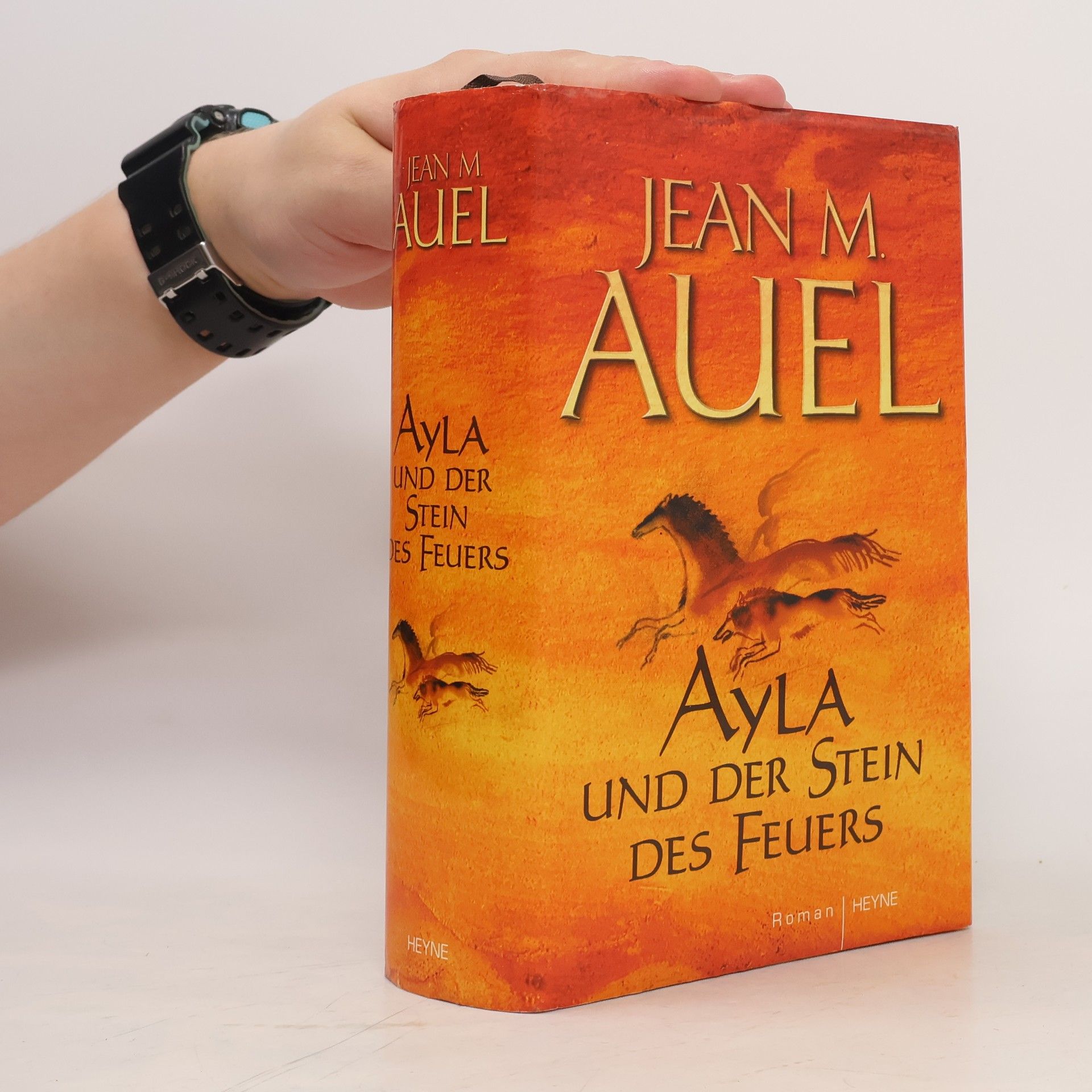 Jean M. Auelová Ayla und der Stein des Feuers