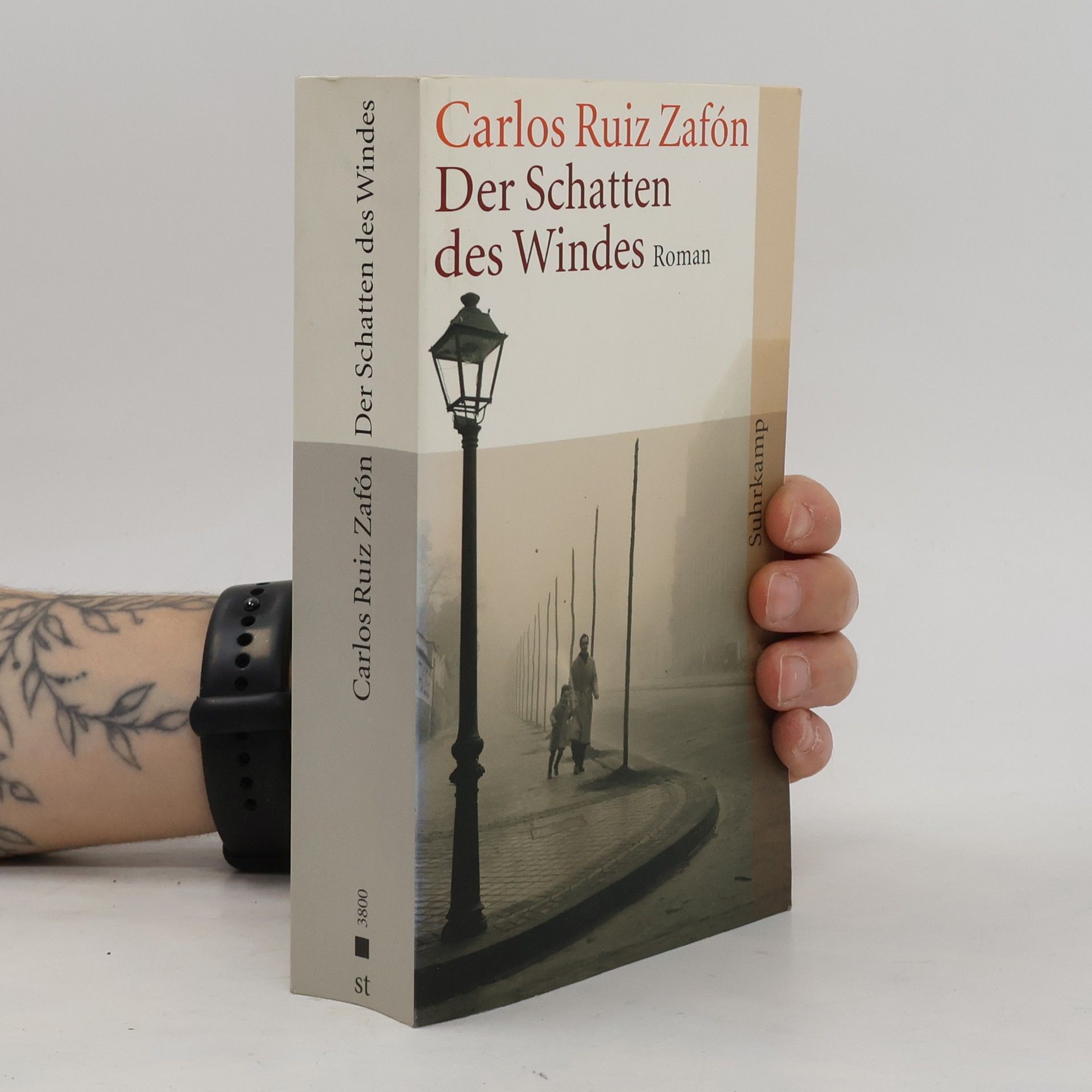 Carlos Ruiz Zafón Der Schatten des Windes