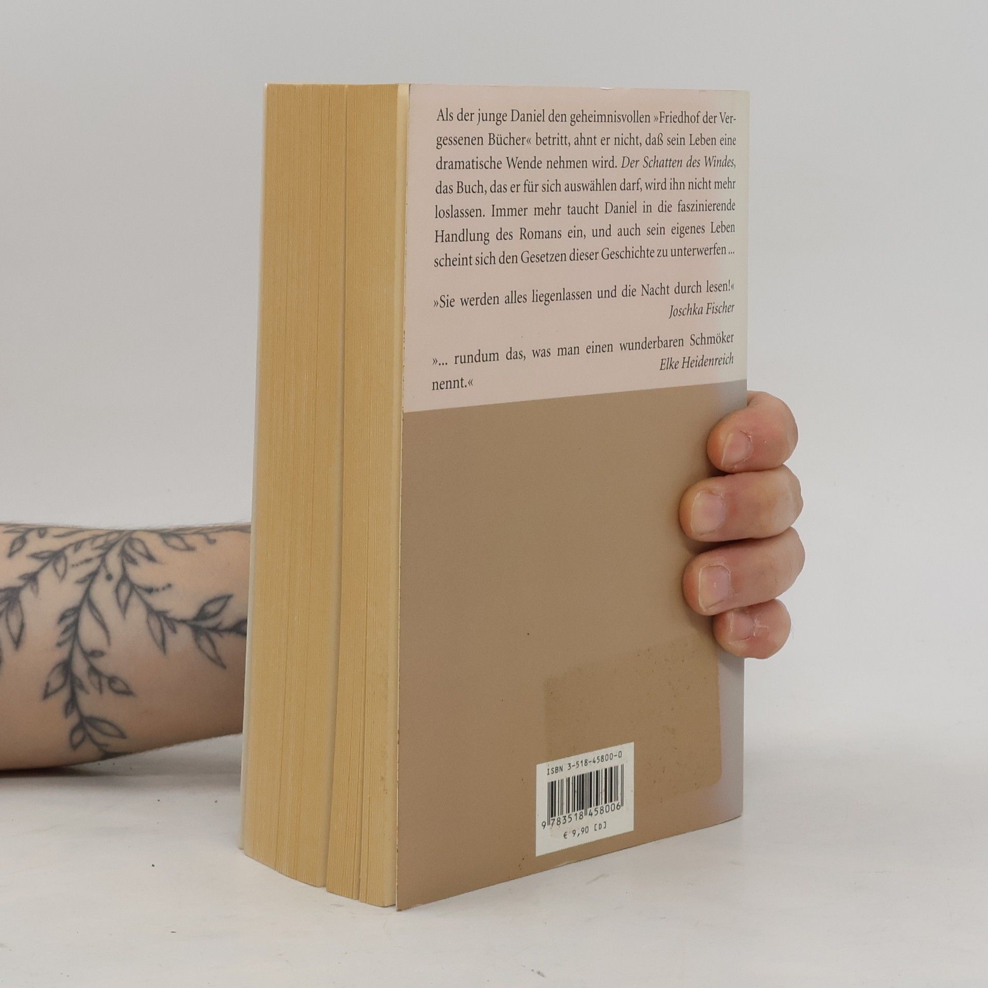 Carlos Ruiz Zafón Der Schatten des Windes