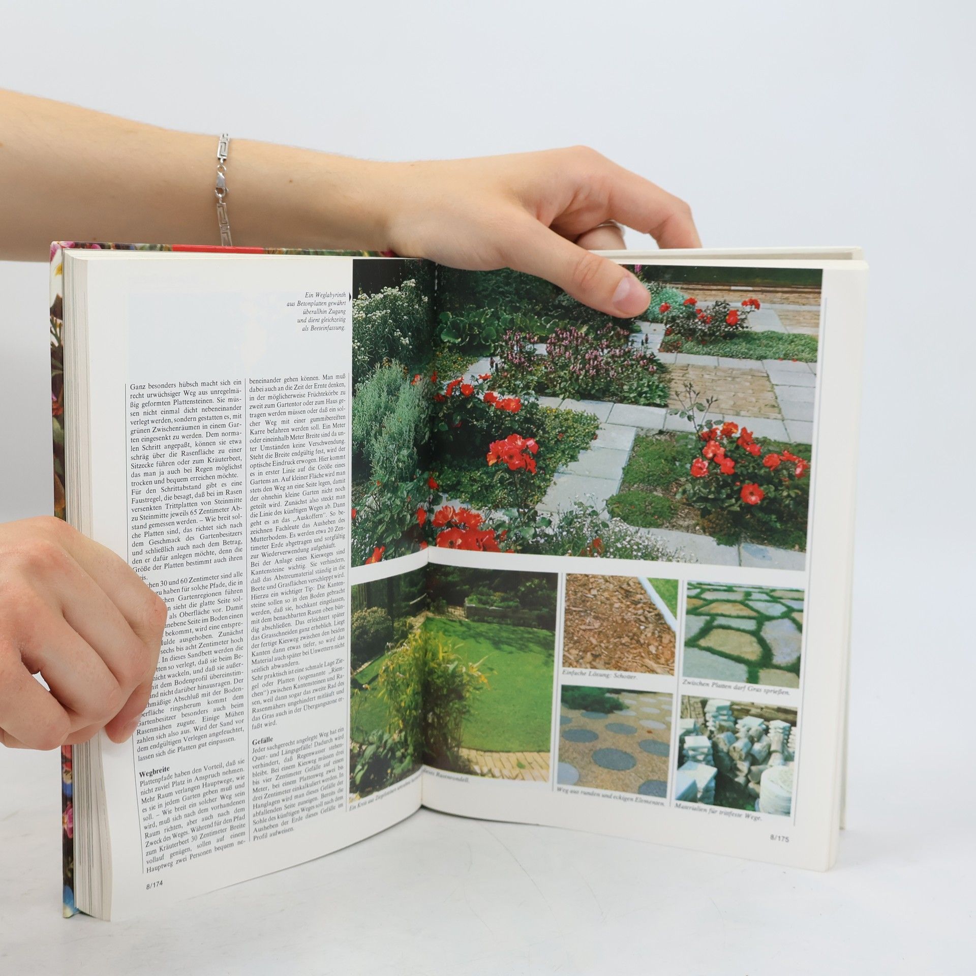 Collectif d'auteurs Blumen & Garten 1. Das praktische Pflanzen-ABC