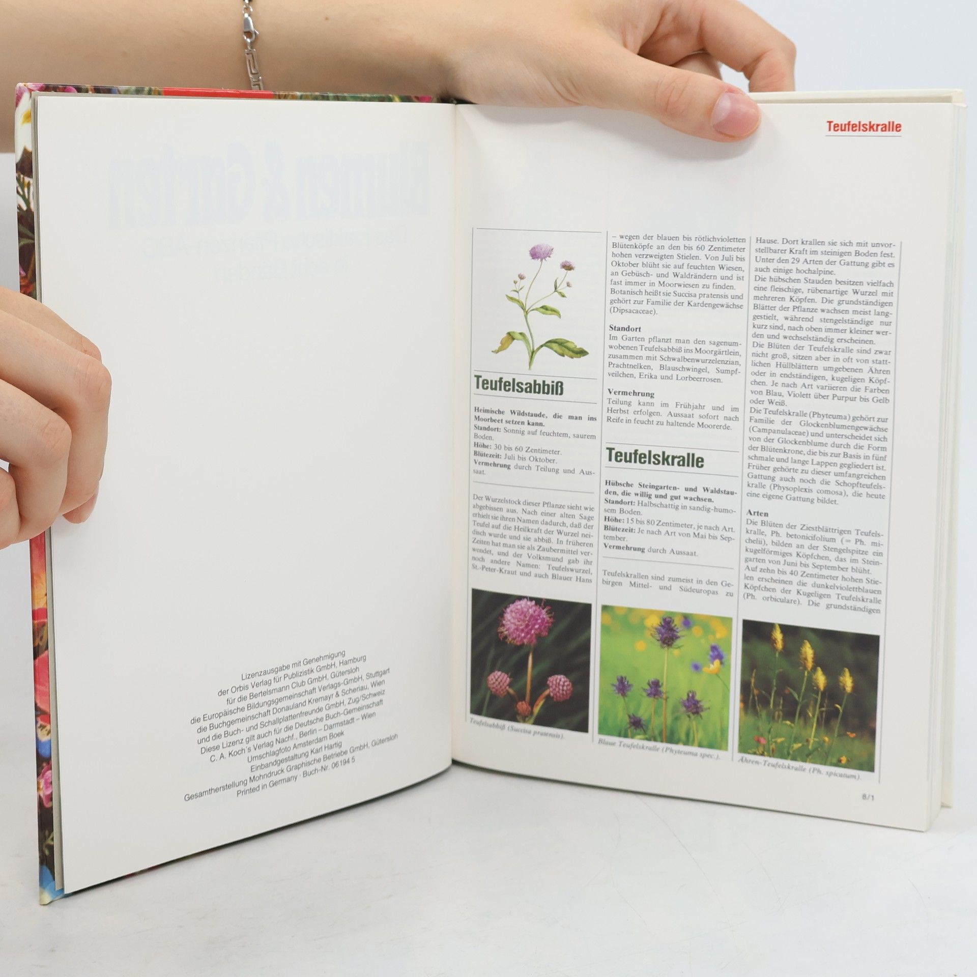 Collectif d'auteurs Blumen & Garten 1. Das praktische Pflanzen-ABC