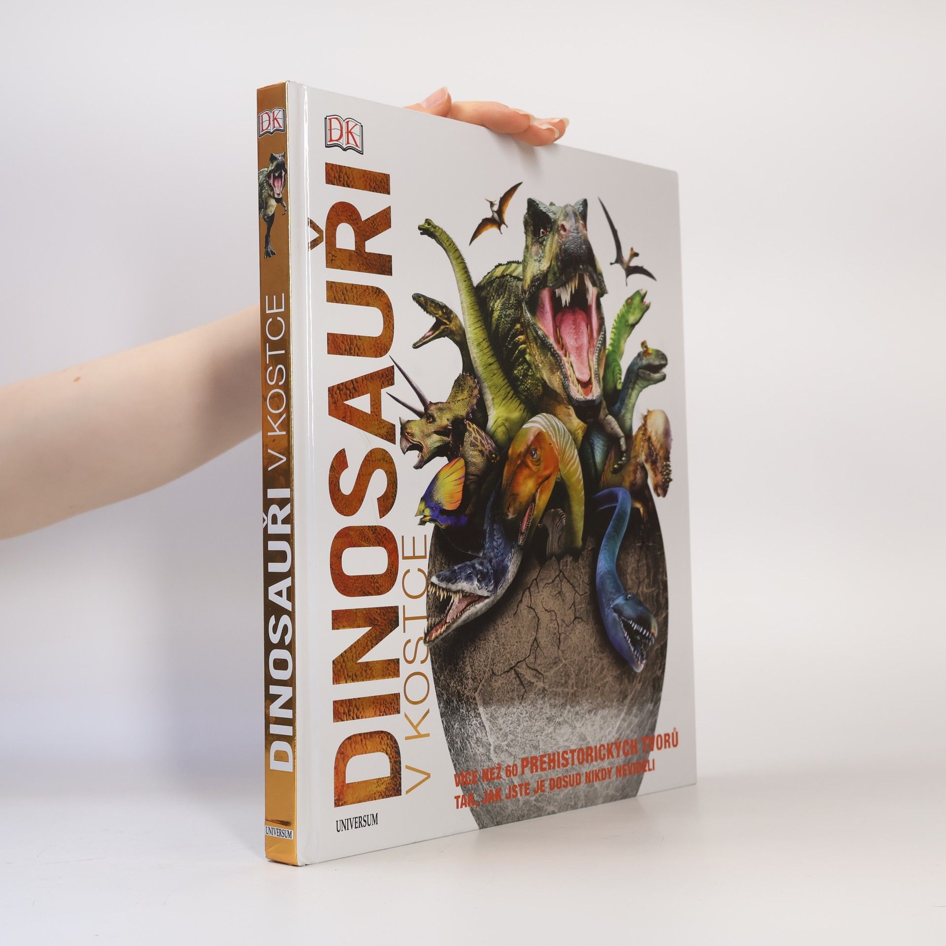 Kolektiv autorů Dinosauři v kostce