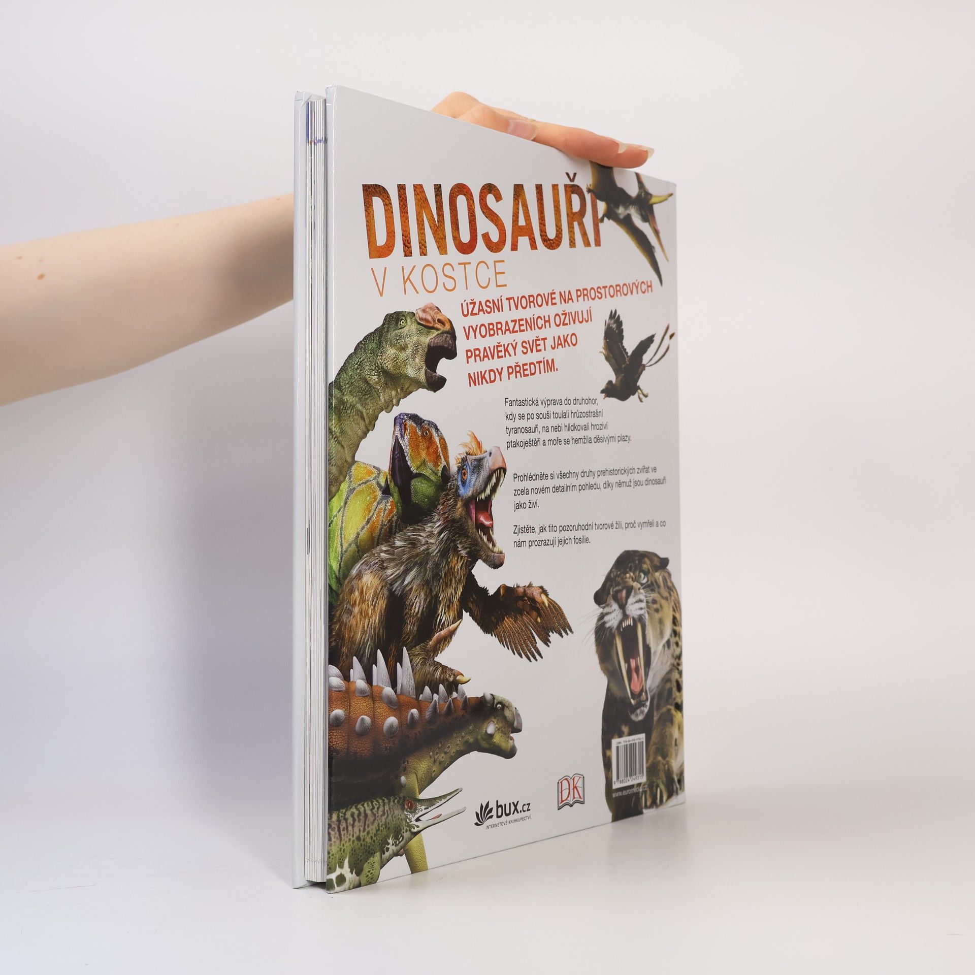 Kolektiv autorů Dinosauři v kostce