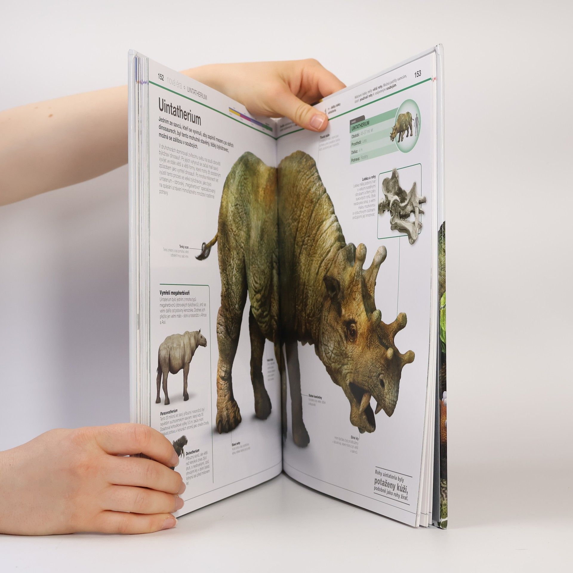 Kolektiv autorů Dinosauři v kostce
