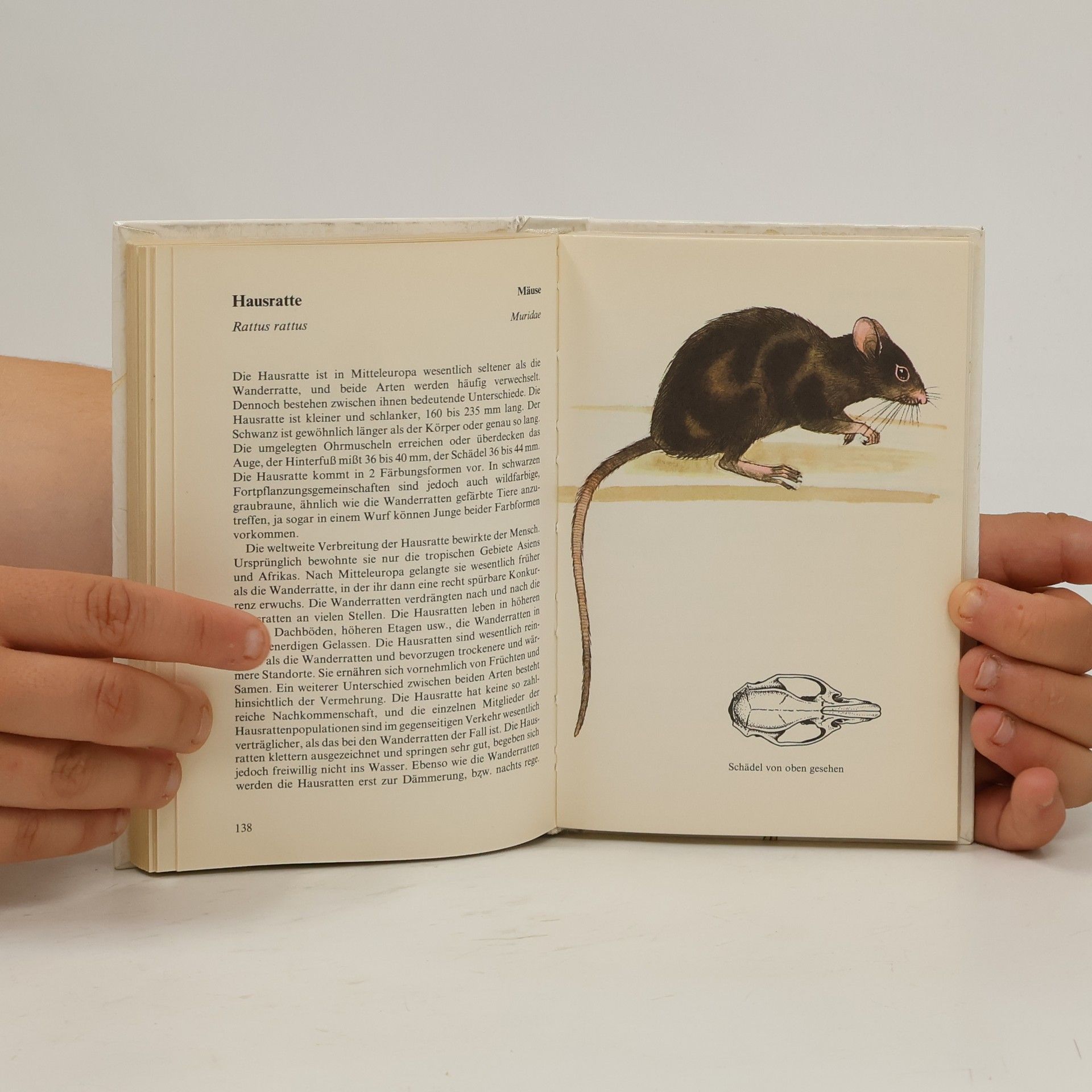 Jan Hanzák Taschenatlas der Säugetiere