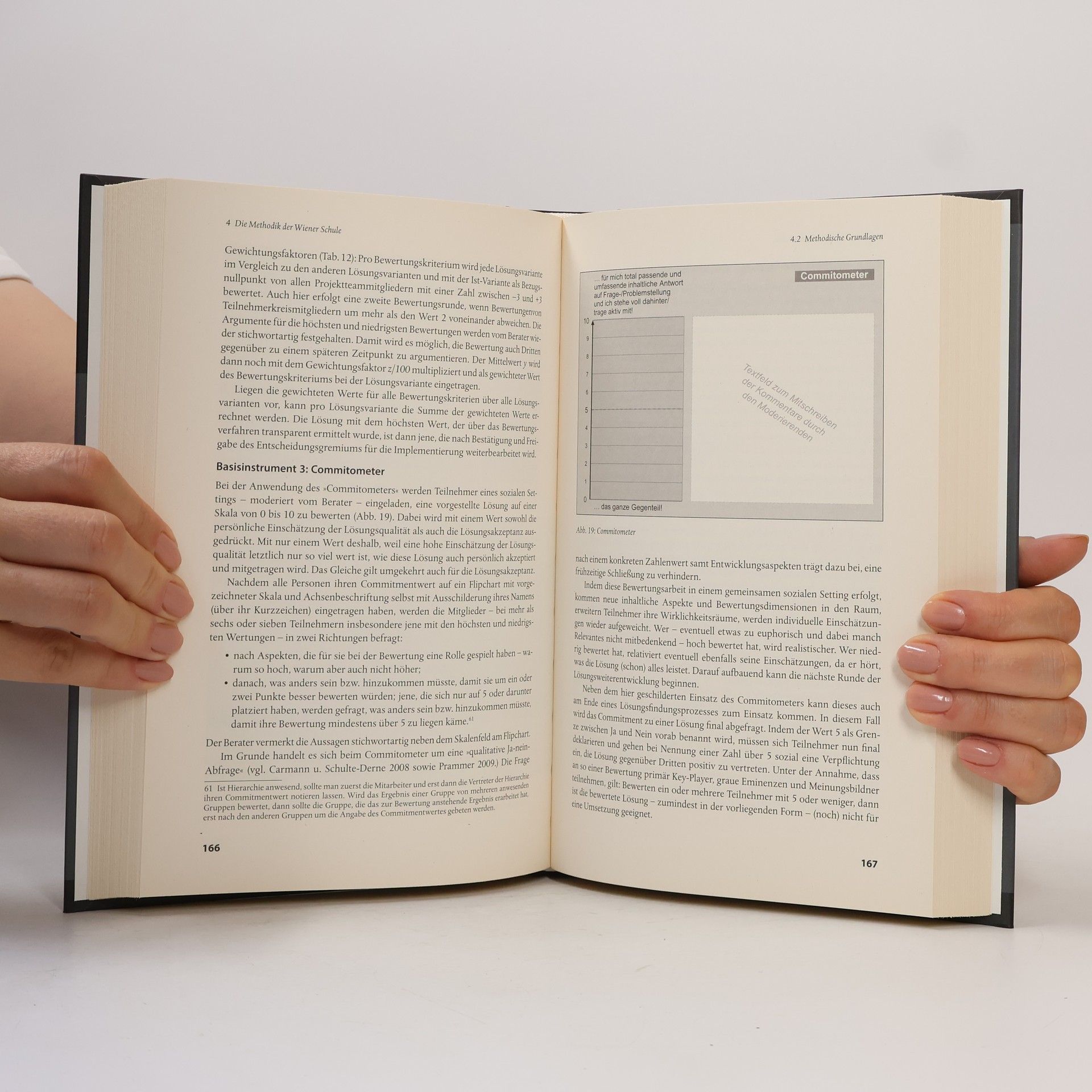 Alfred Janes Management und Organisationsberatung: Kontextuelle Organisationsberatung