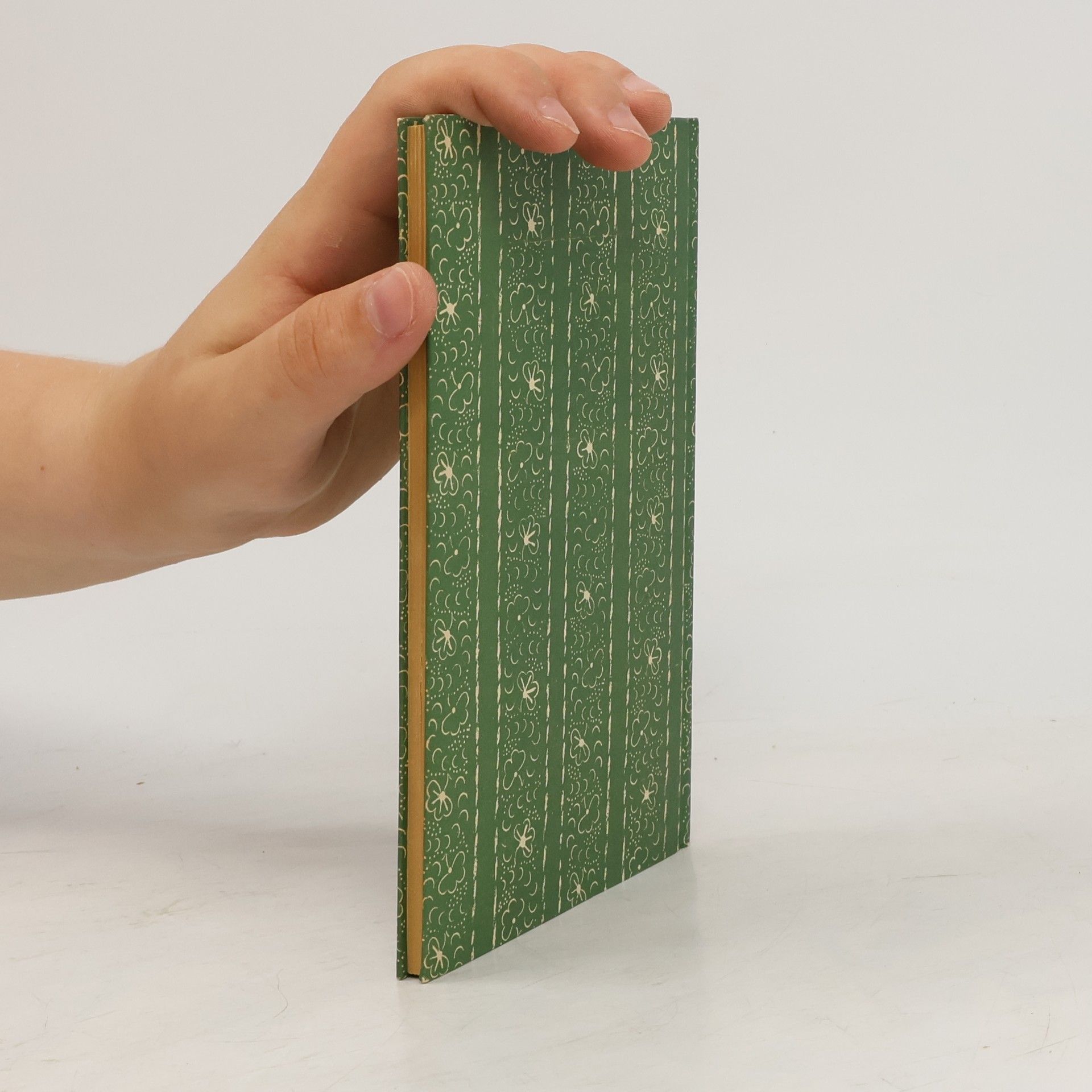 Rudolf Georg Binding Der Opfergang