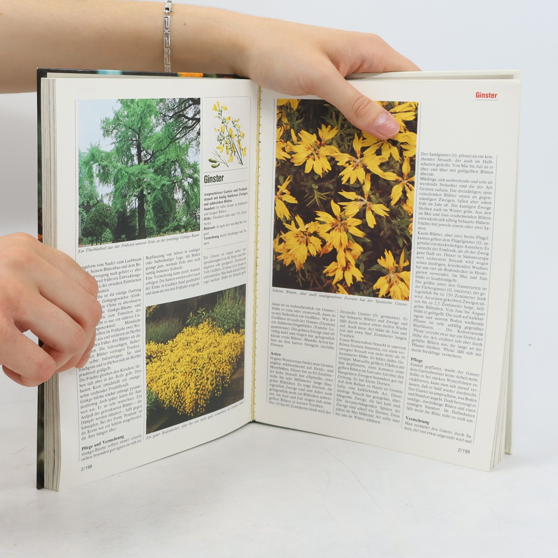 Kolektiv autorů Blumen & Garten 2