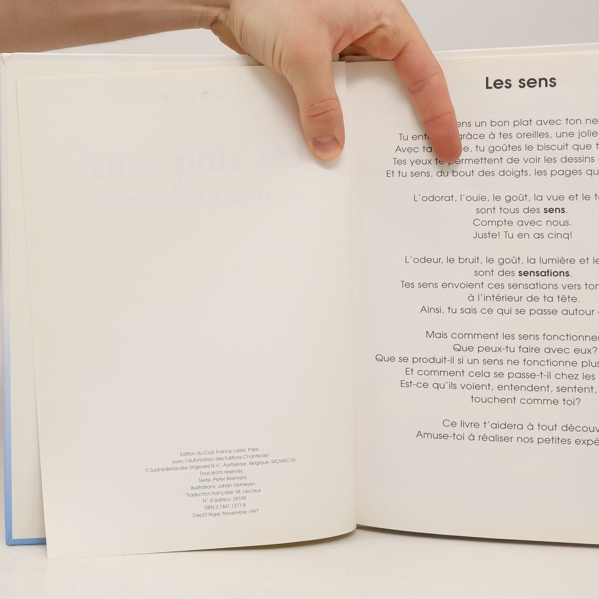 Peter Bosmans Les cinq sens ... dessus dessous