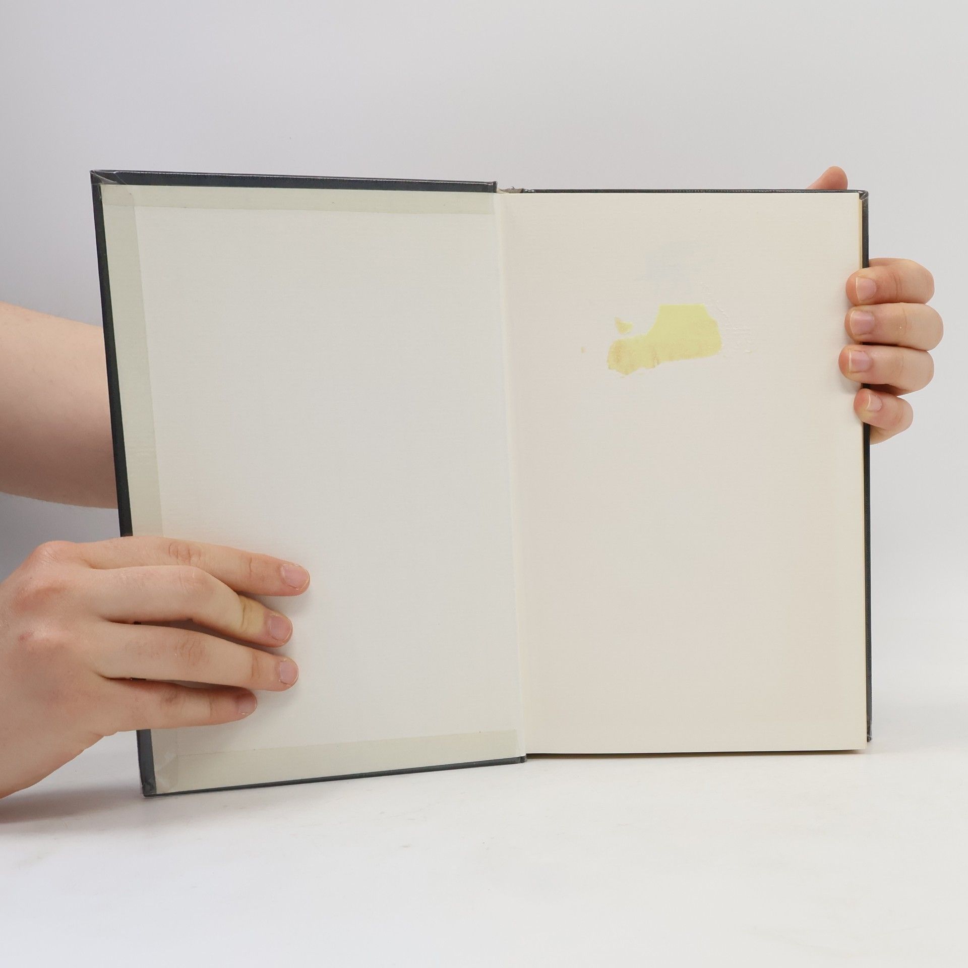 Peter Damerow Rechenstein, Experiment, Sprache