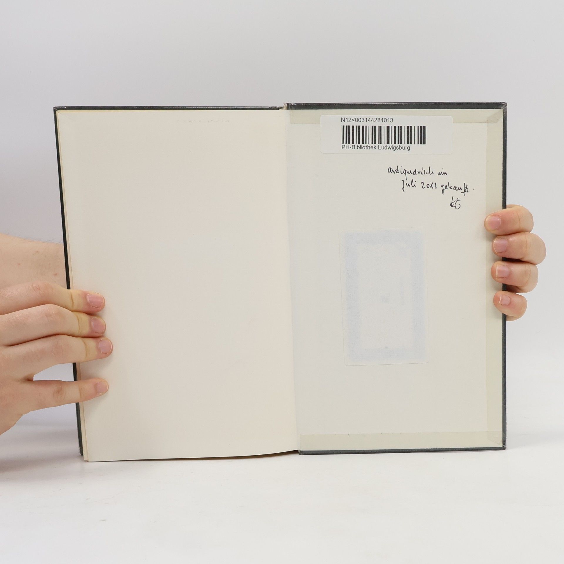 Peter Damerow Rechenstein, Experiment, Sprache