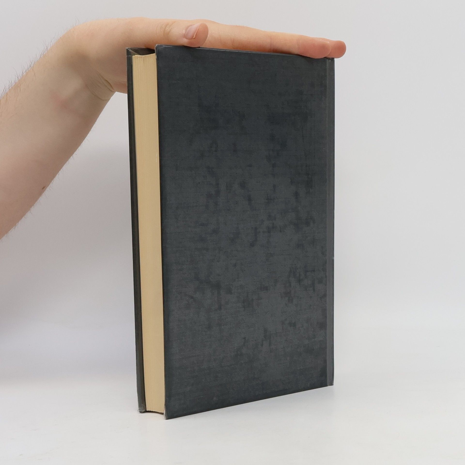 Peter Damerow Rechenstein, Experiment, Sprache