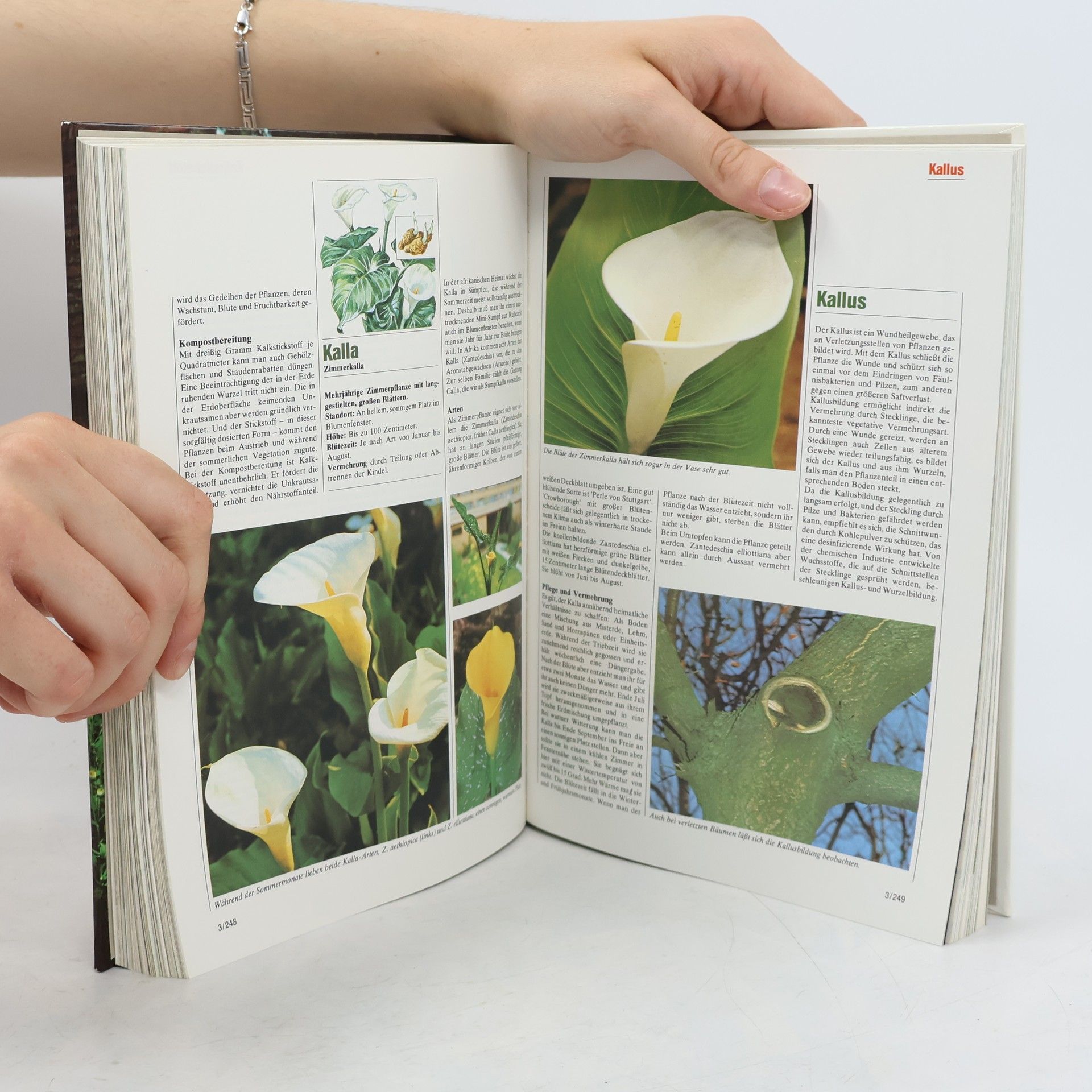 AA.VV. Blumen & Garden 3