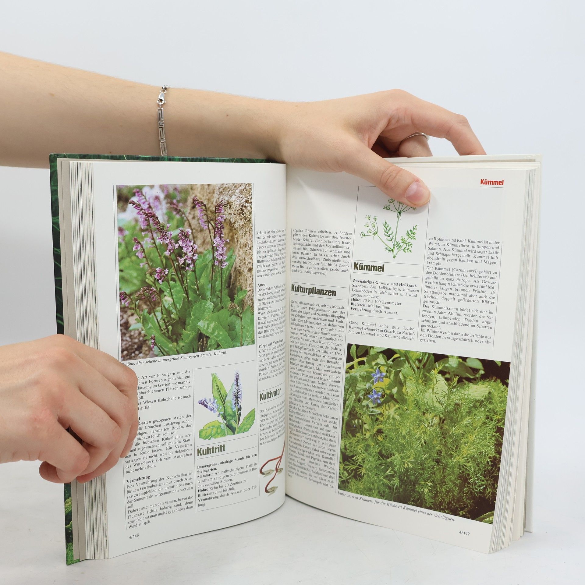 Autorenkollektiv Blumen & Garten 4. Kl-Me