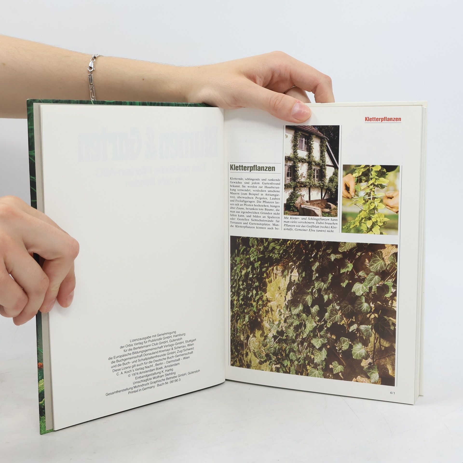 Autorenkollektiv Blumen & Garten 4. Kl-Me