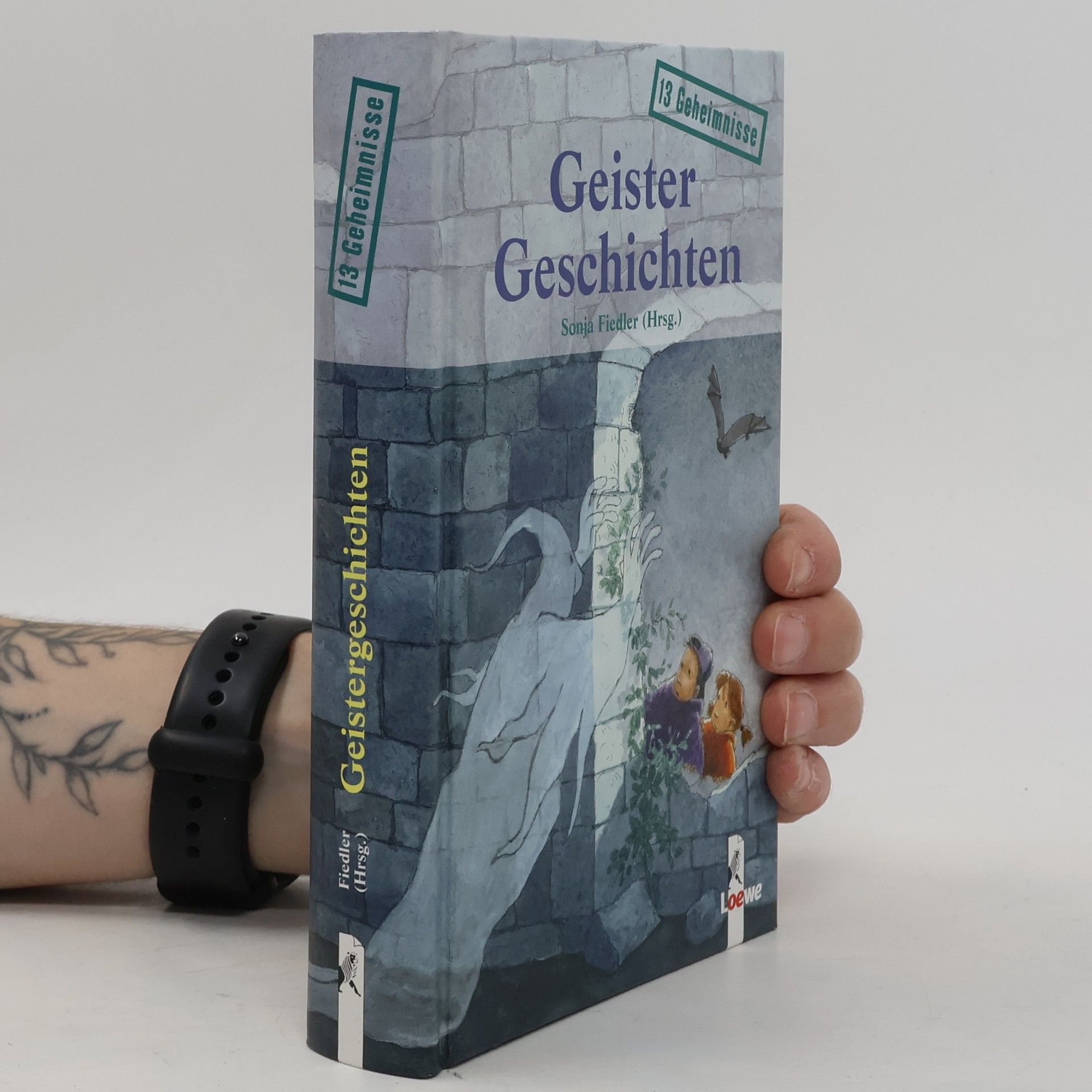 Sonja Fiedler 13 Geheimnisse