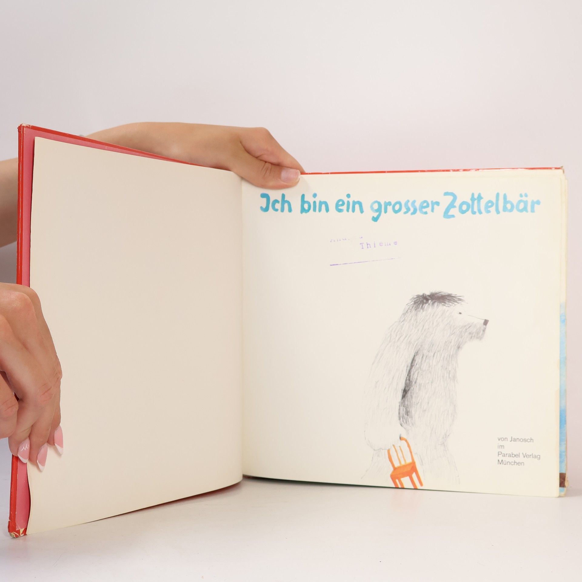 Janosch Ich bin ein grosser Zottelbär