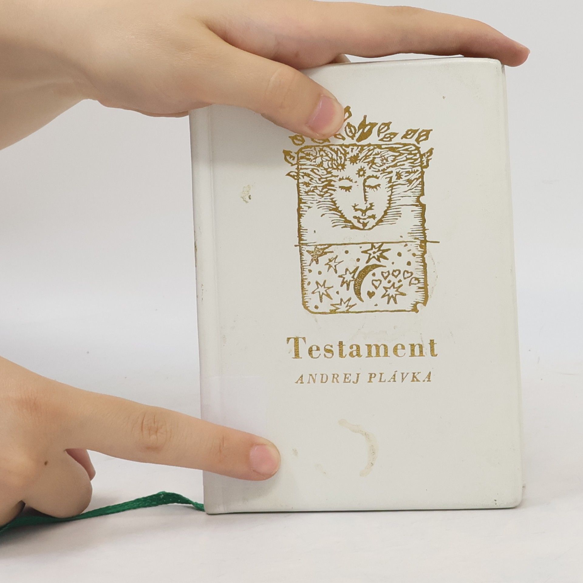 Andrej Plávka Testament