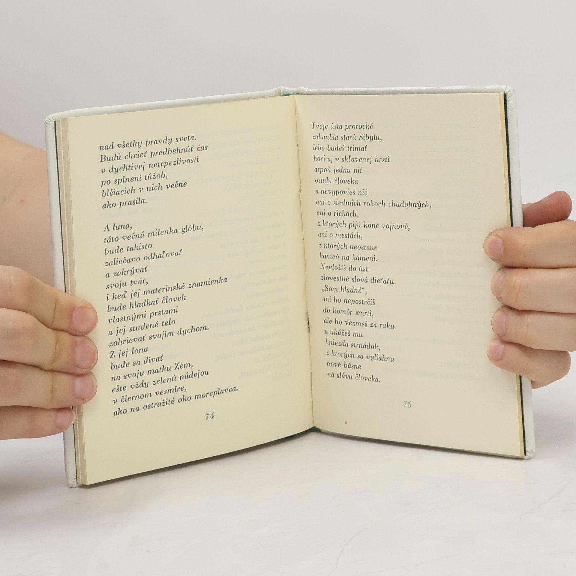 Andrej Plávka Testament