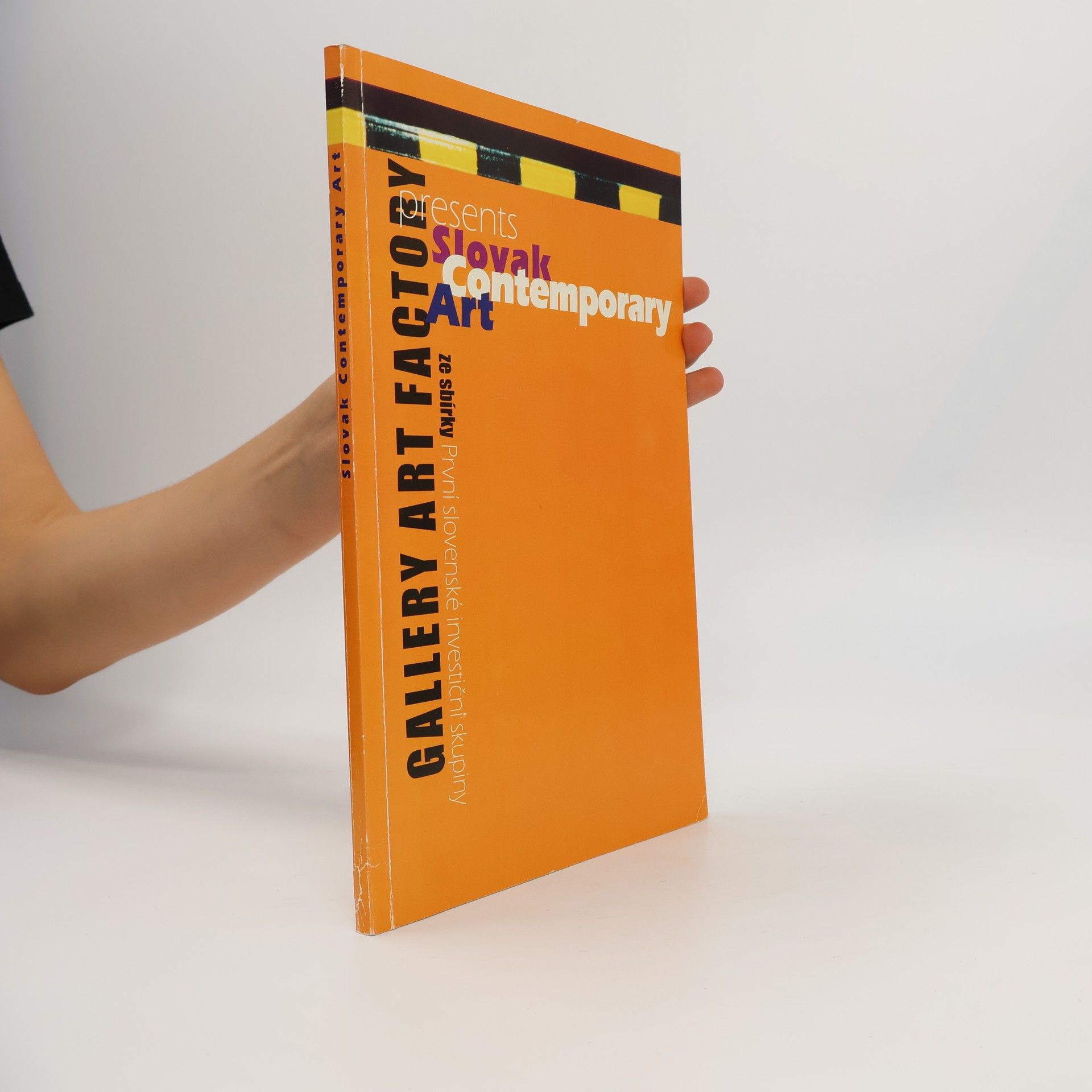 Autorenkollektiv Slovak contemporary art