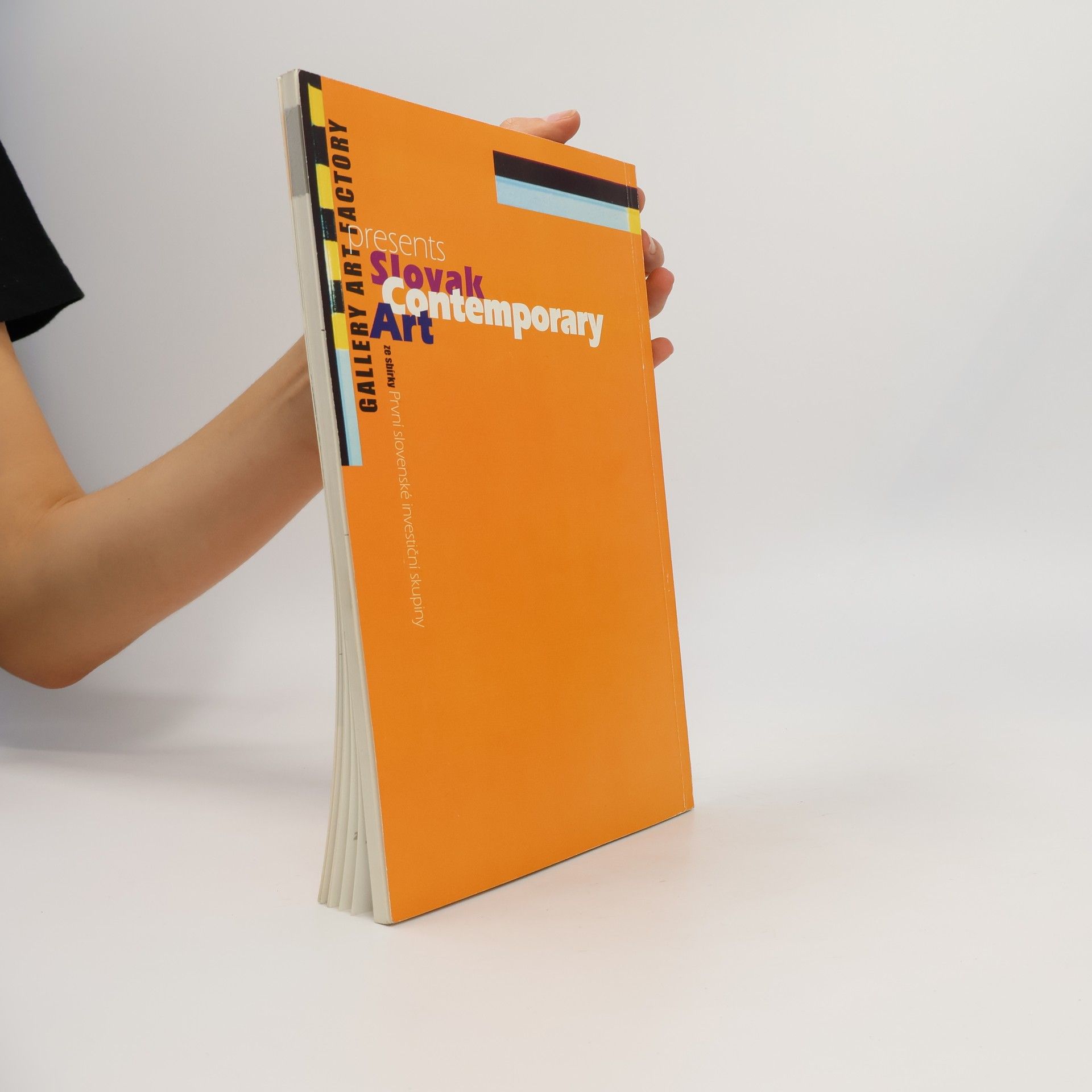 Autorenkollektiv Slovak contemporary art