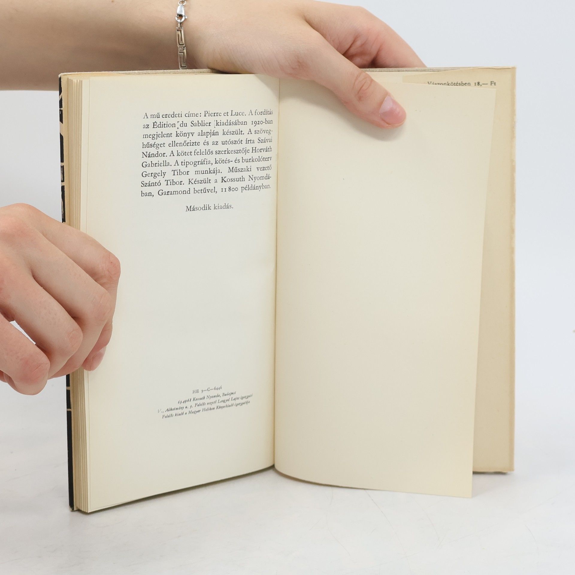 Romain Rolland Pierre és Luce