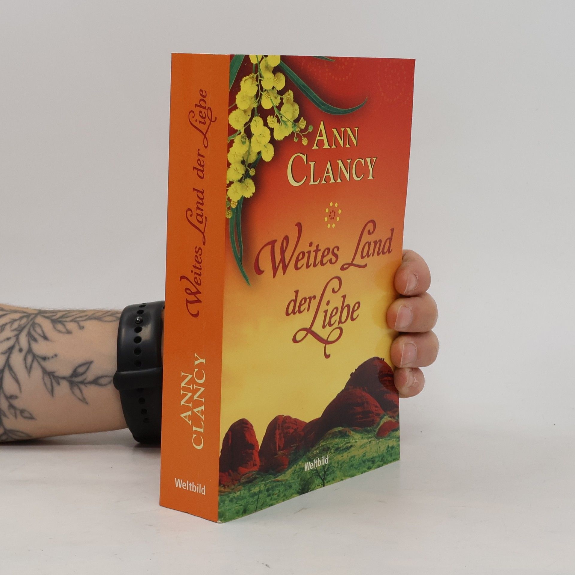 Ann Clancy Weites Land der Liebe
