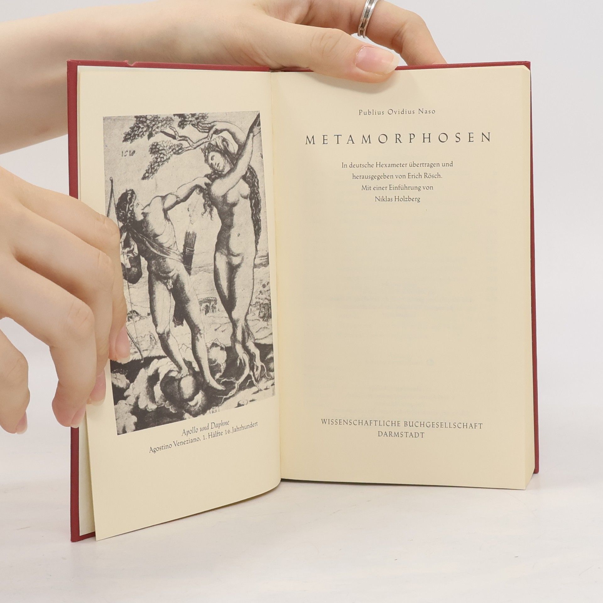 Ovid Metamorphosen