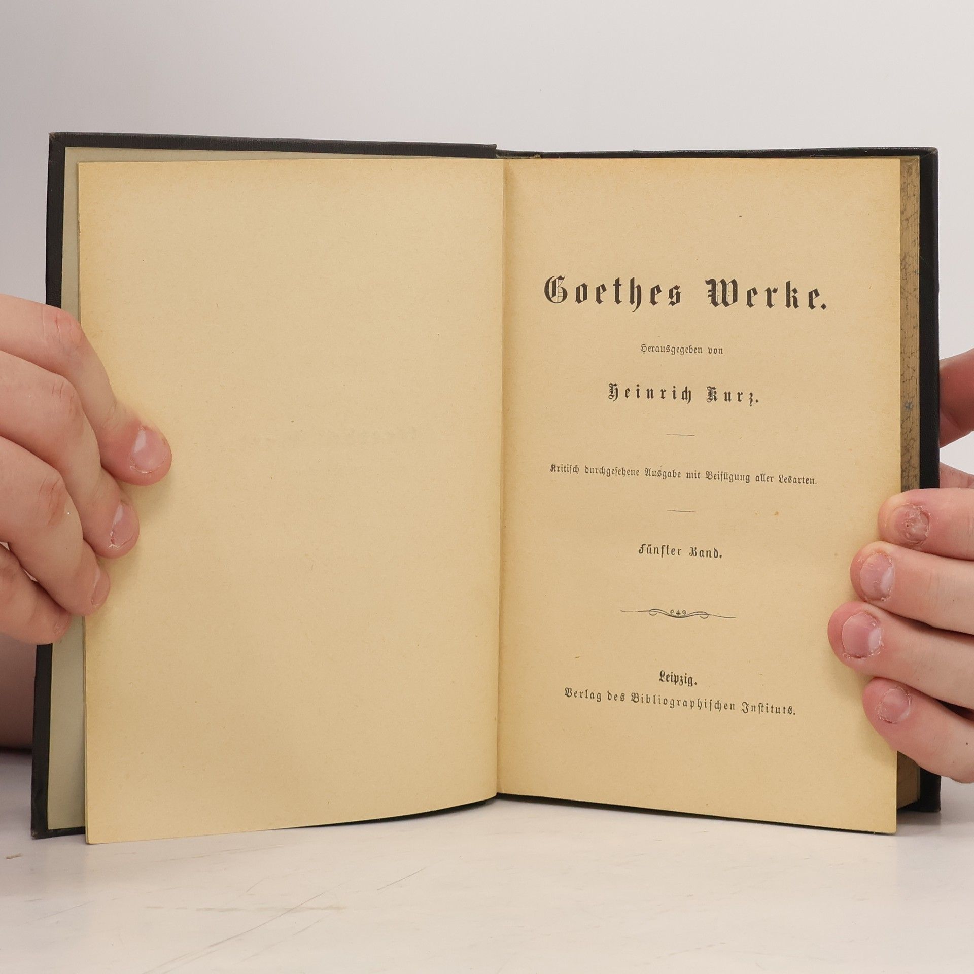 Heinrich Kurz Goethes Werke 5