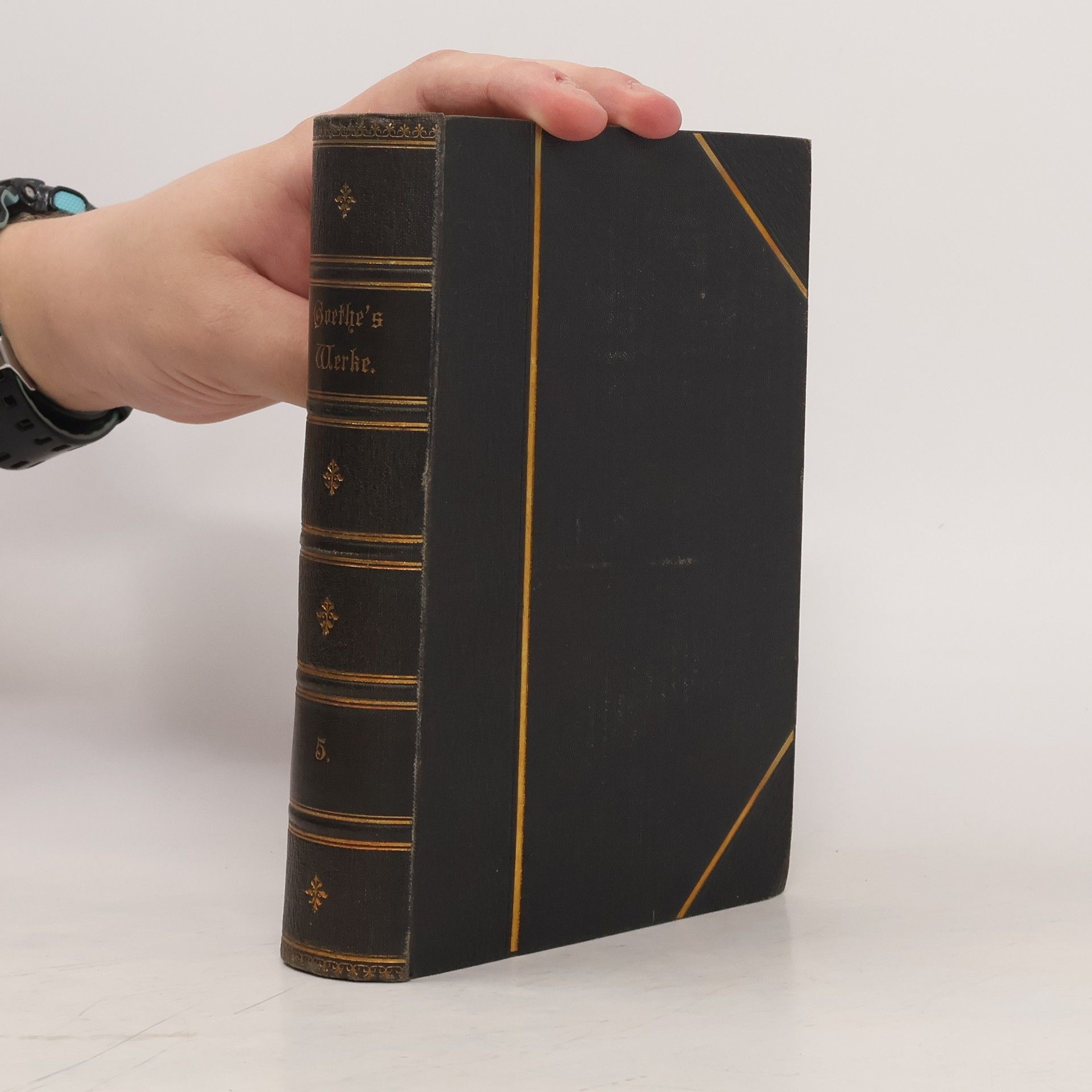 Heinrich Kurz Goethes Werke 5
