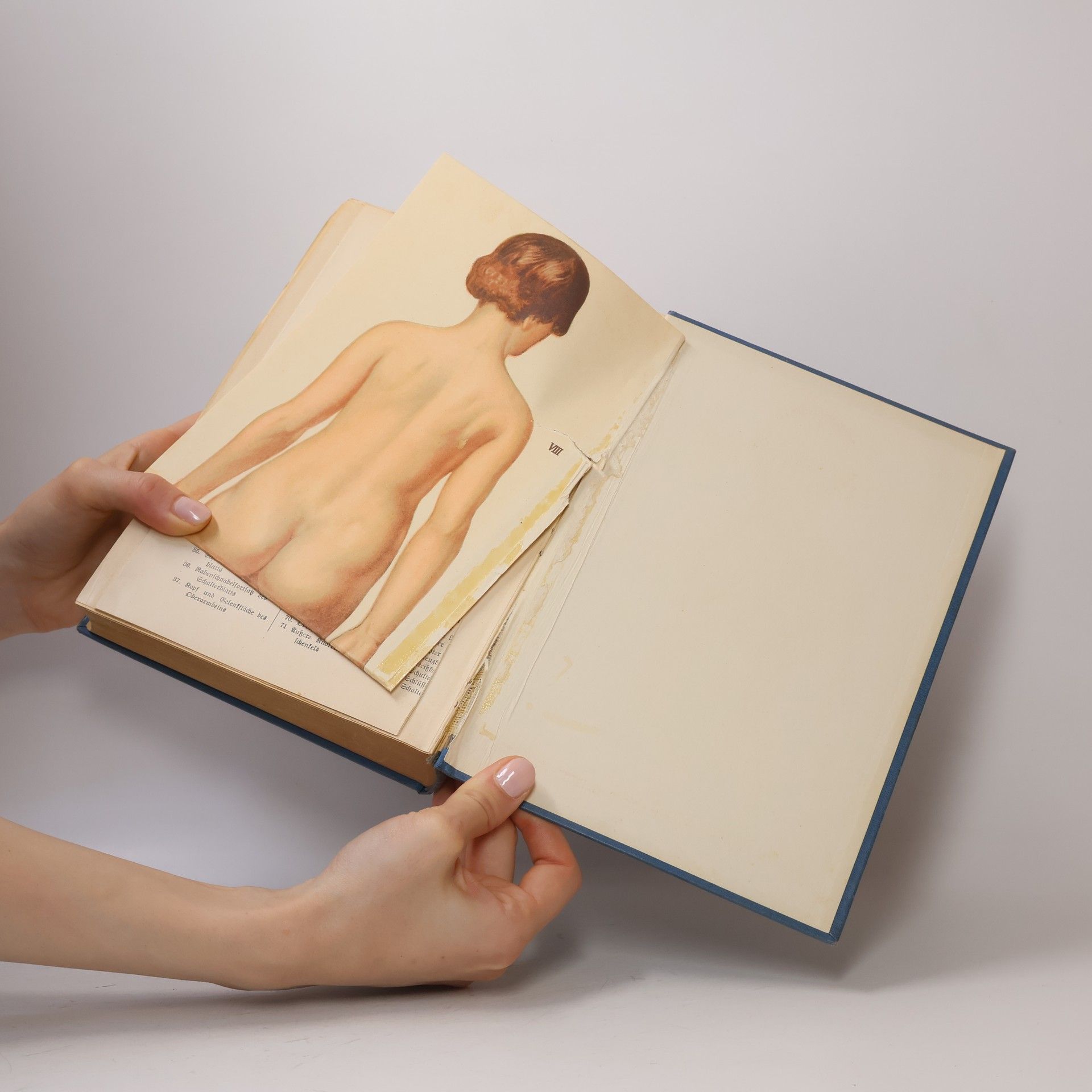 Collectif d'auteurs Der Weg zur Gesundheit II.