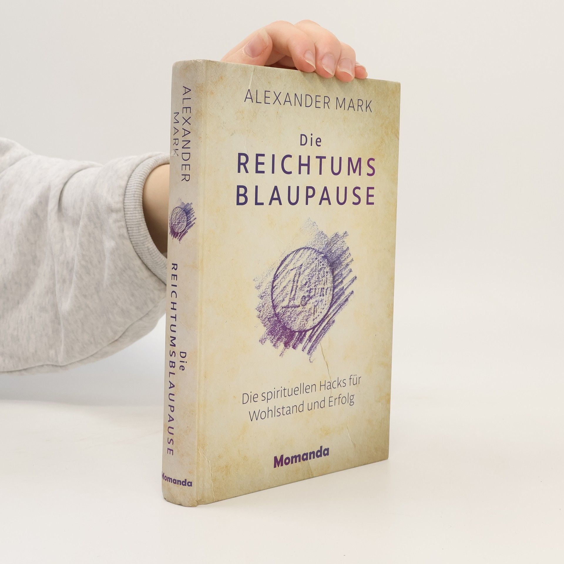 Mark-Alexander Sujan Die Reichtumsblaupause