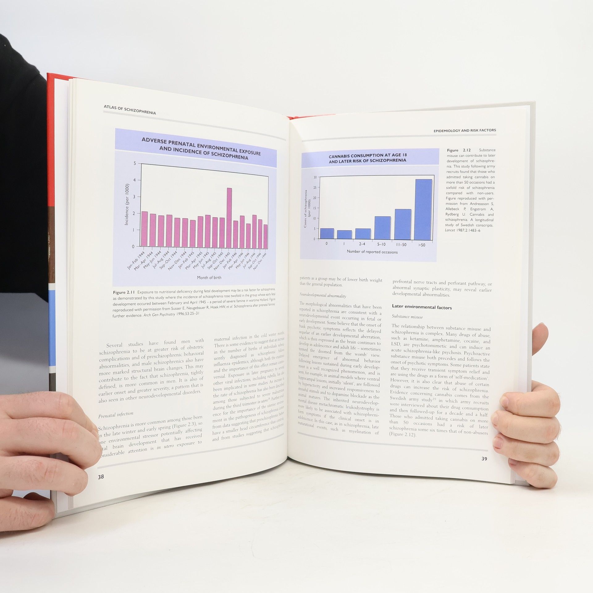 Stefan Martin The Encyclopedia of Visual Medicine Series. An Atlas of Schizophrenia