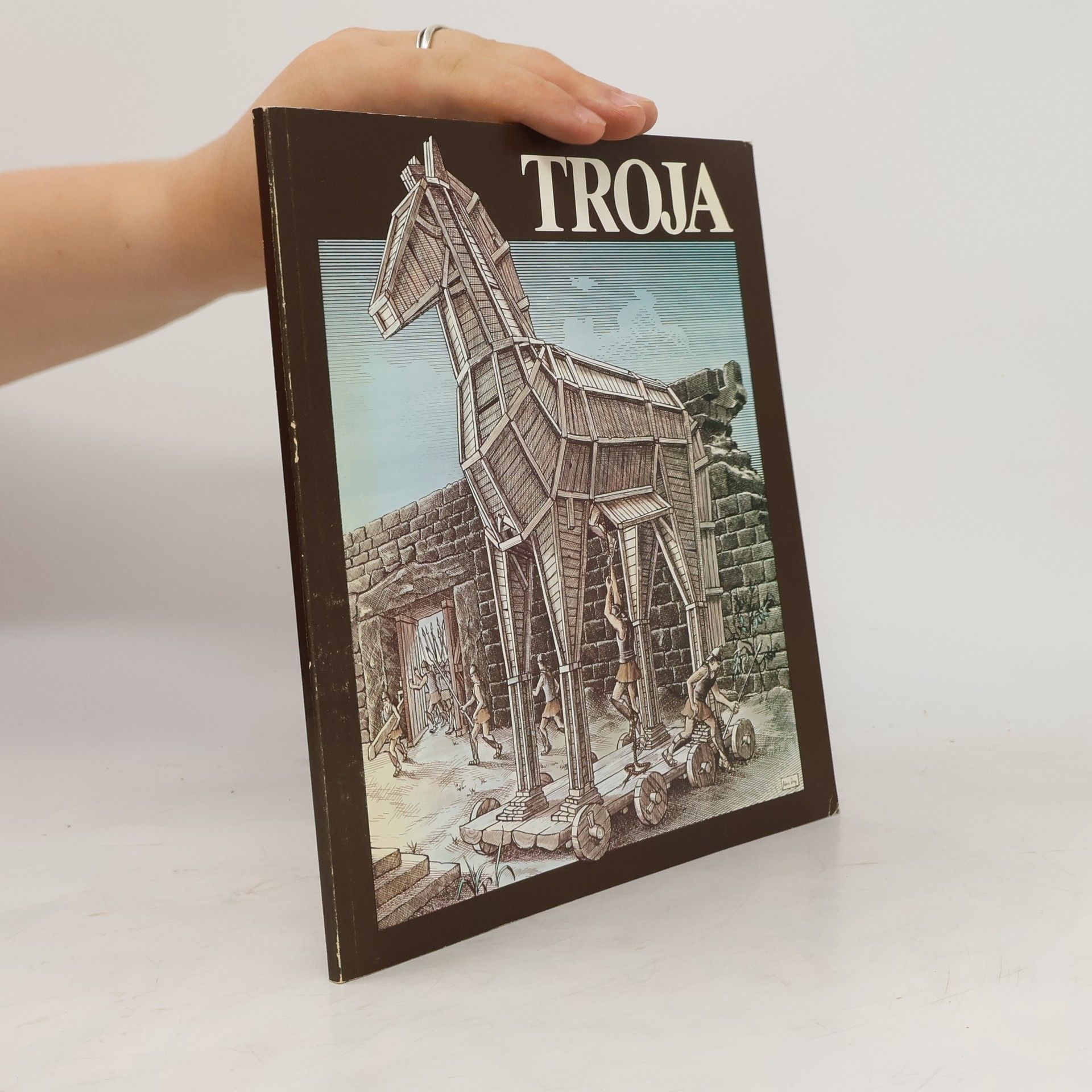 Autorenkollektiv Troja