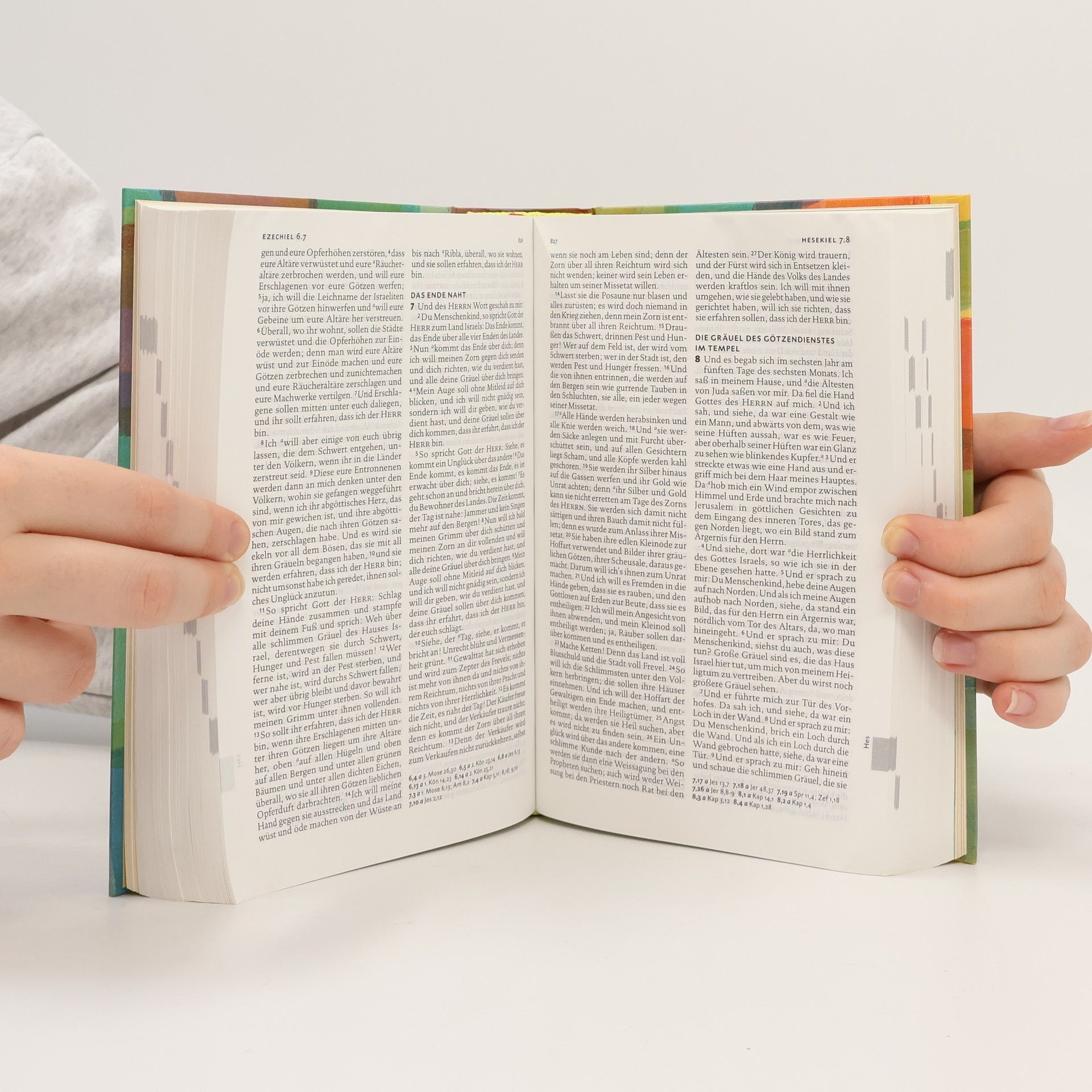 Martin Luther Lutherbibel für Dich