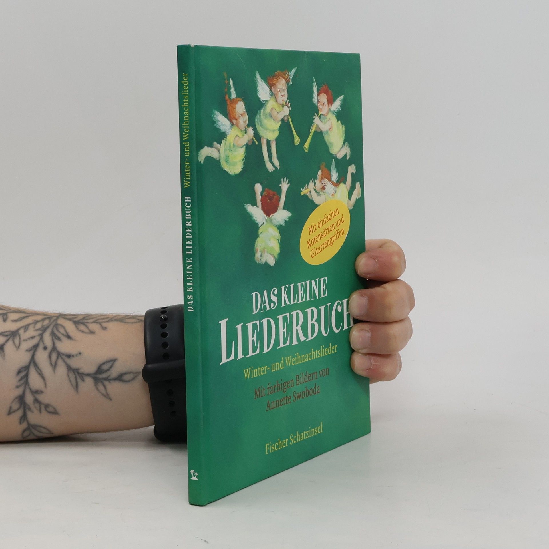 Catrin Frischer Das kleine Liederbuch. Winter- und Weihnachtslieder