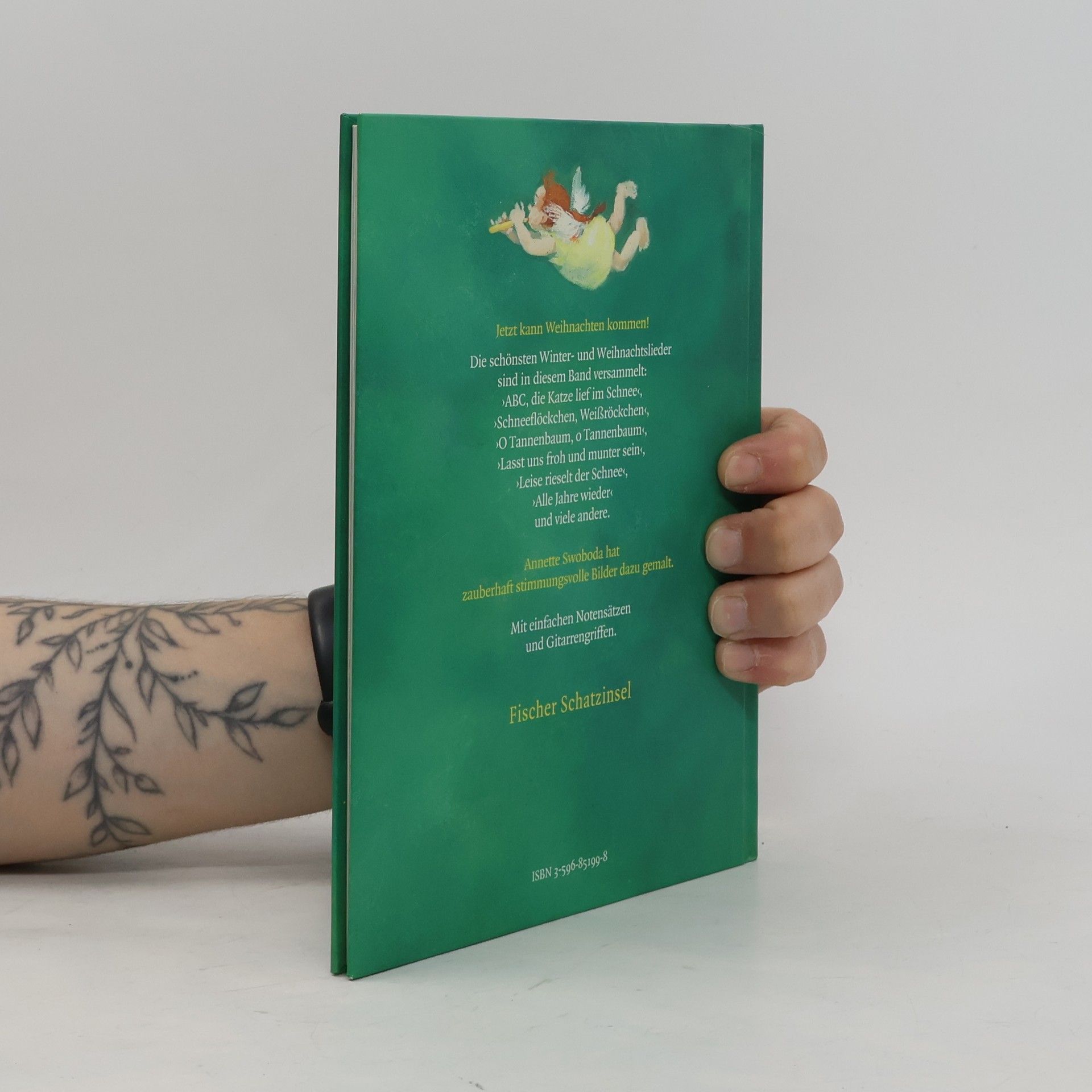 Catrin Frischer Das kleine Liederbuch. Winter- und Weihnachtslieder